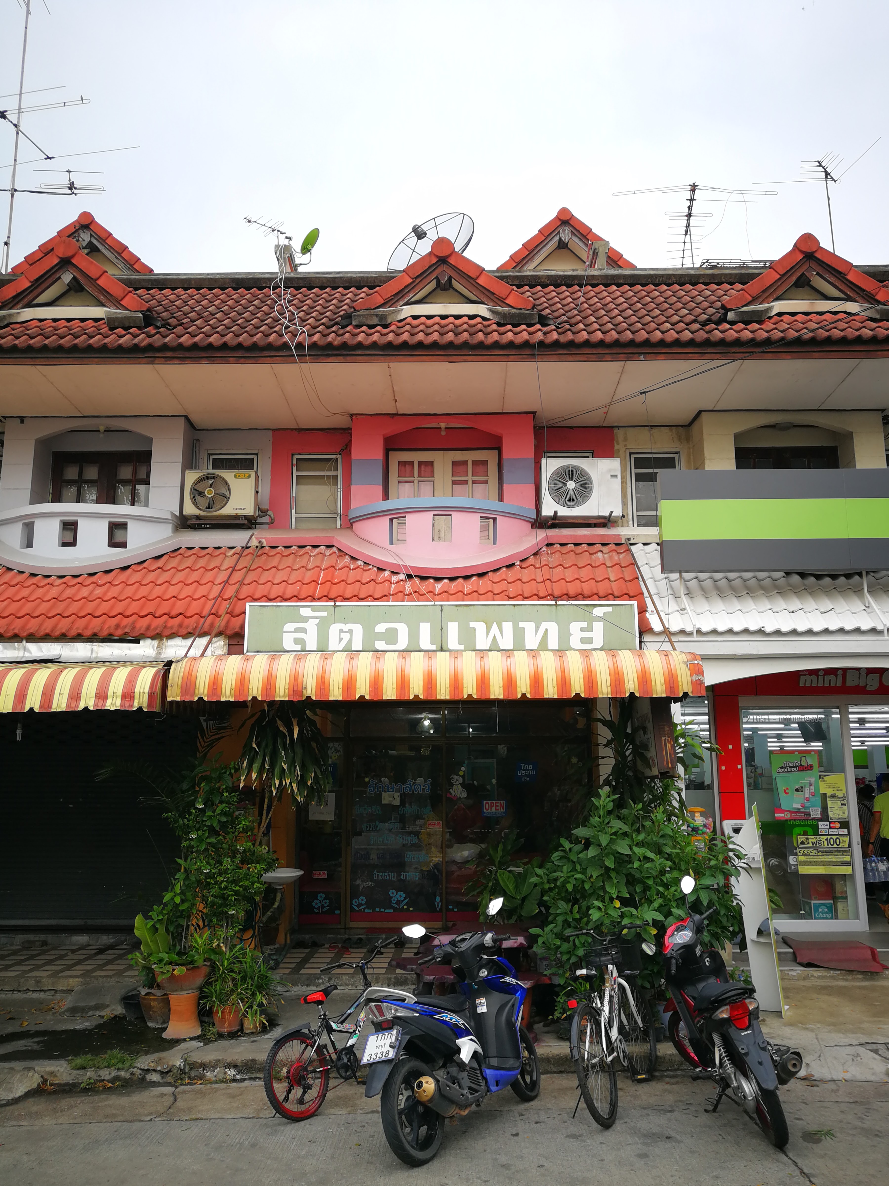 Veterinary City