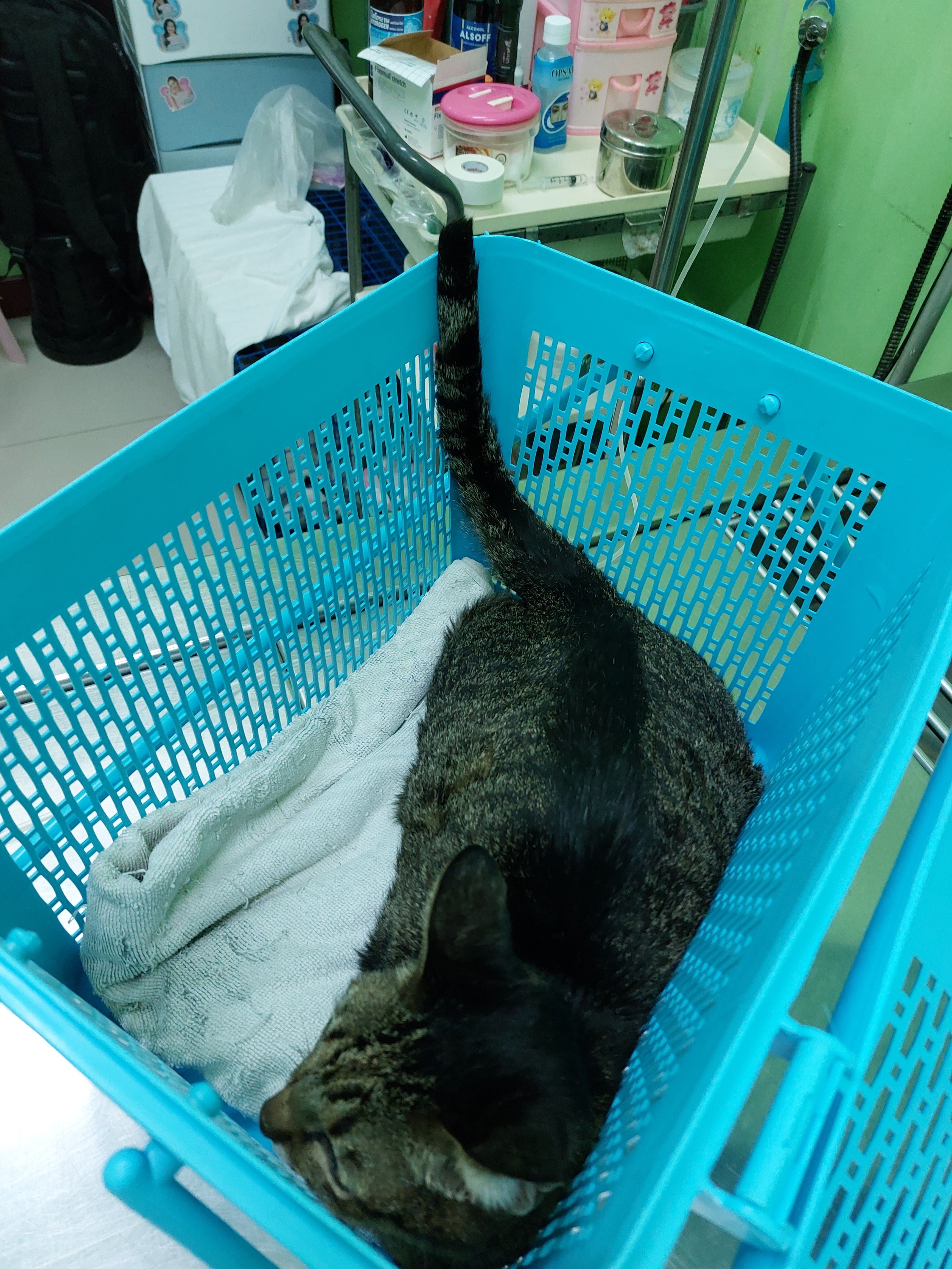 Punnawat Veterinary Clinic