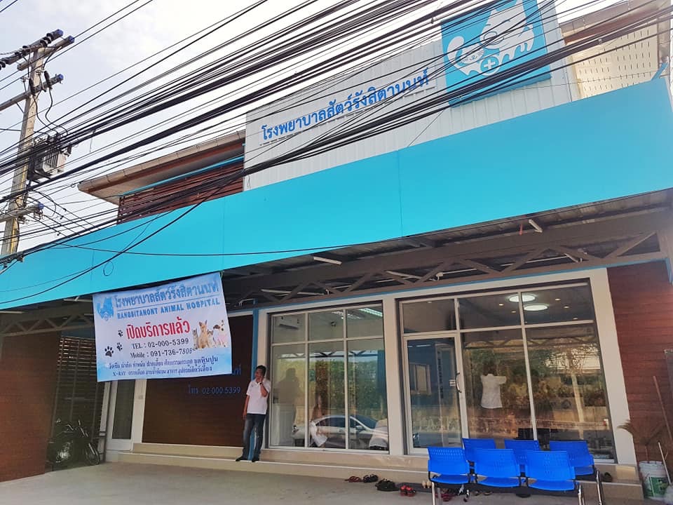 Rangsitanon Animal Hospital