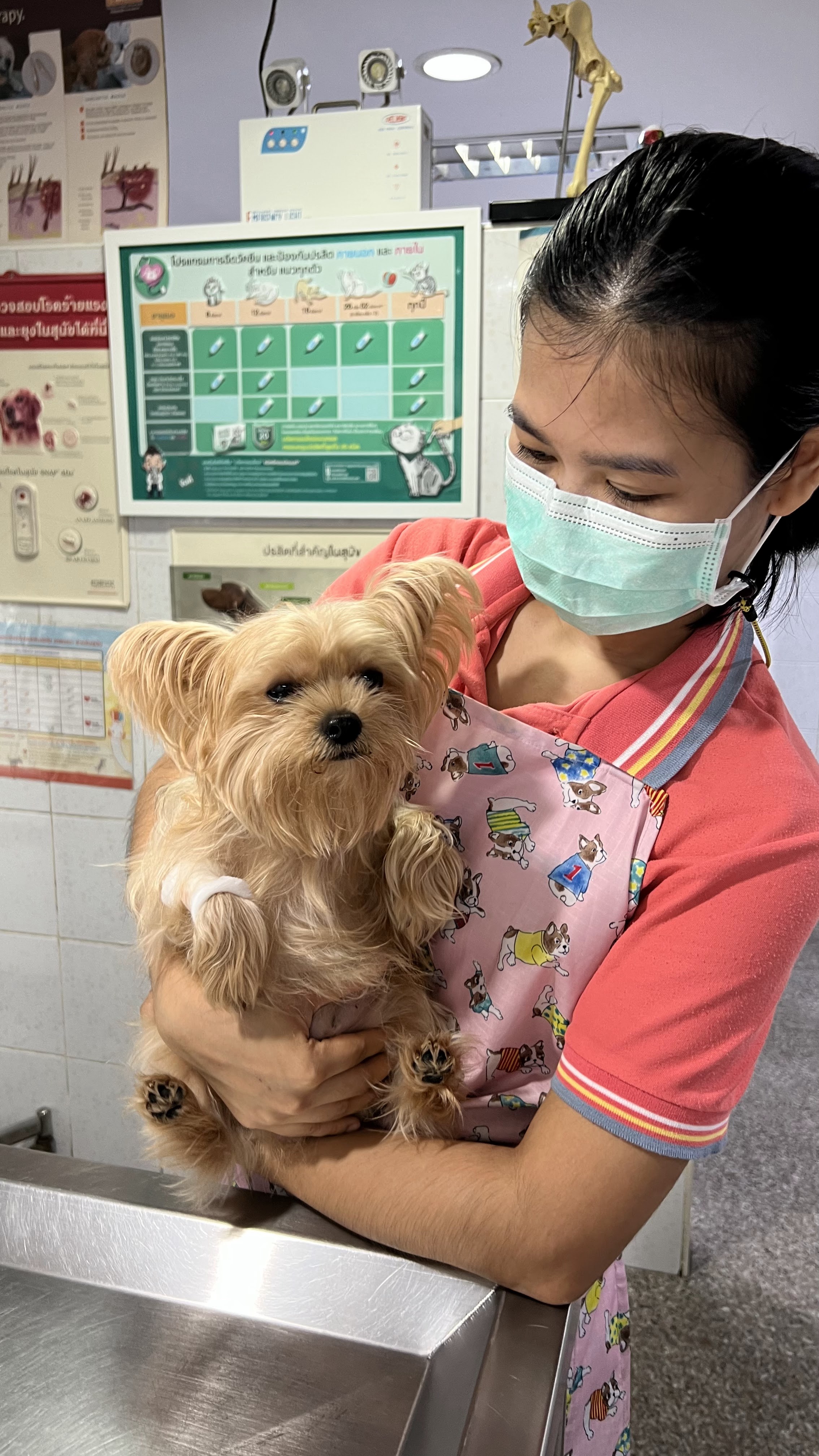 Ban Animal Hospital Moodee