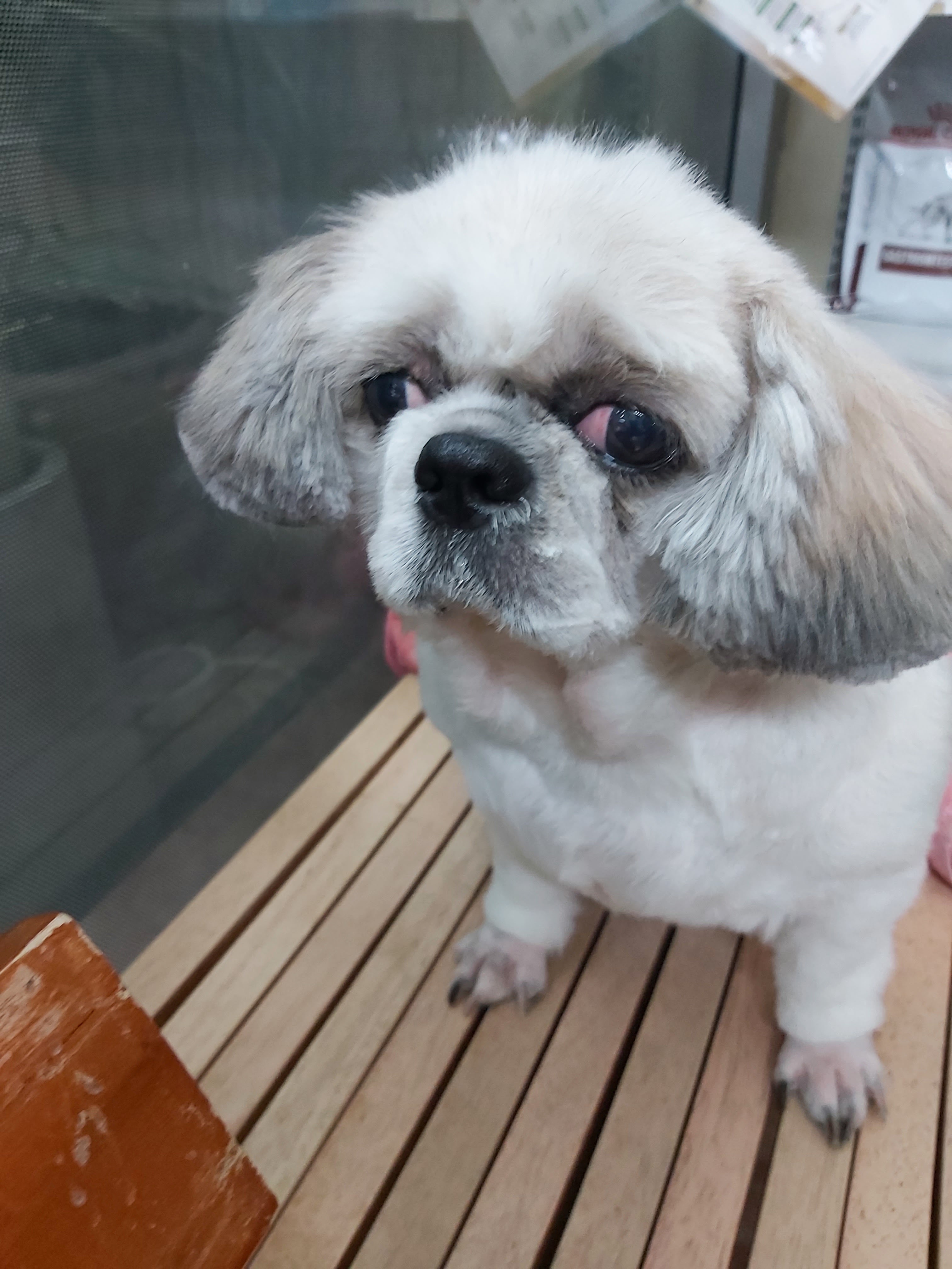 Klong Si Veterinary Clinic