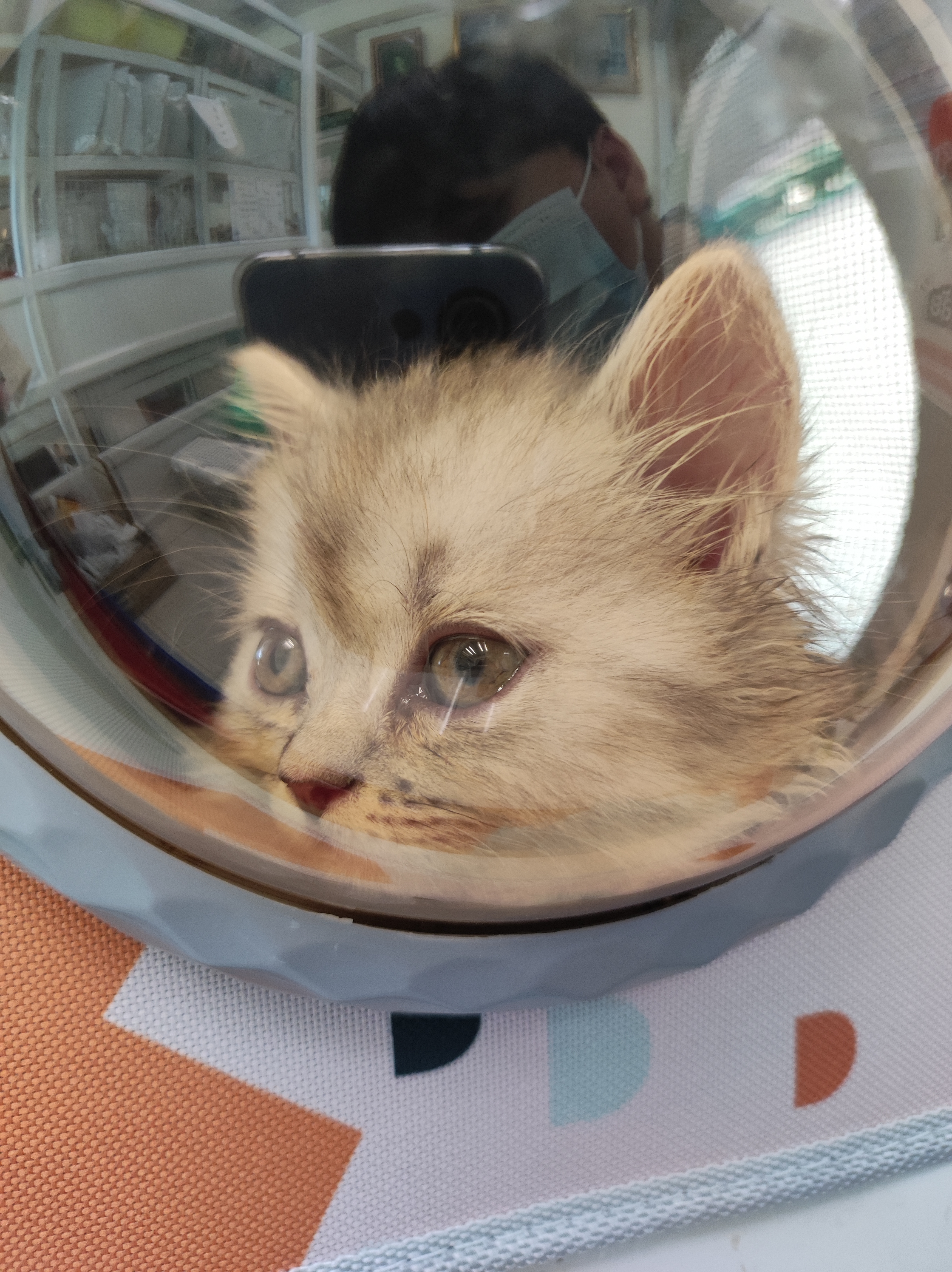 4 Muang Ake Pet Hospital Klong 4