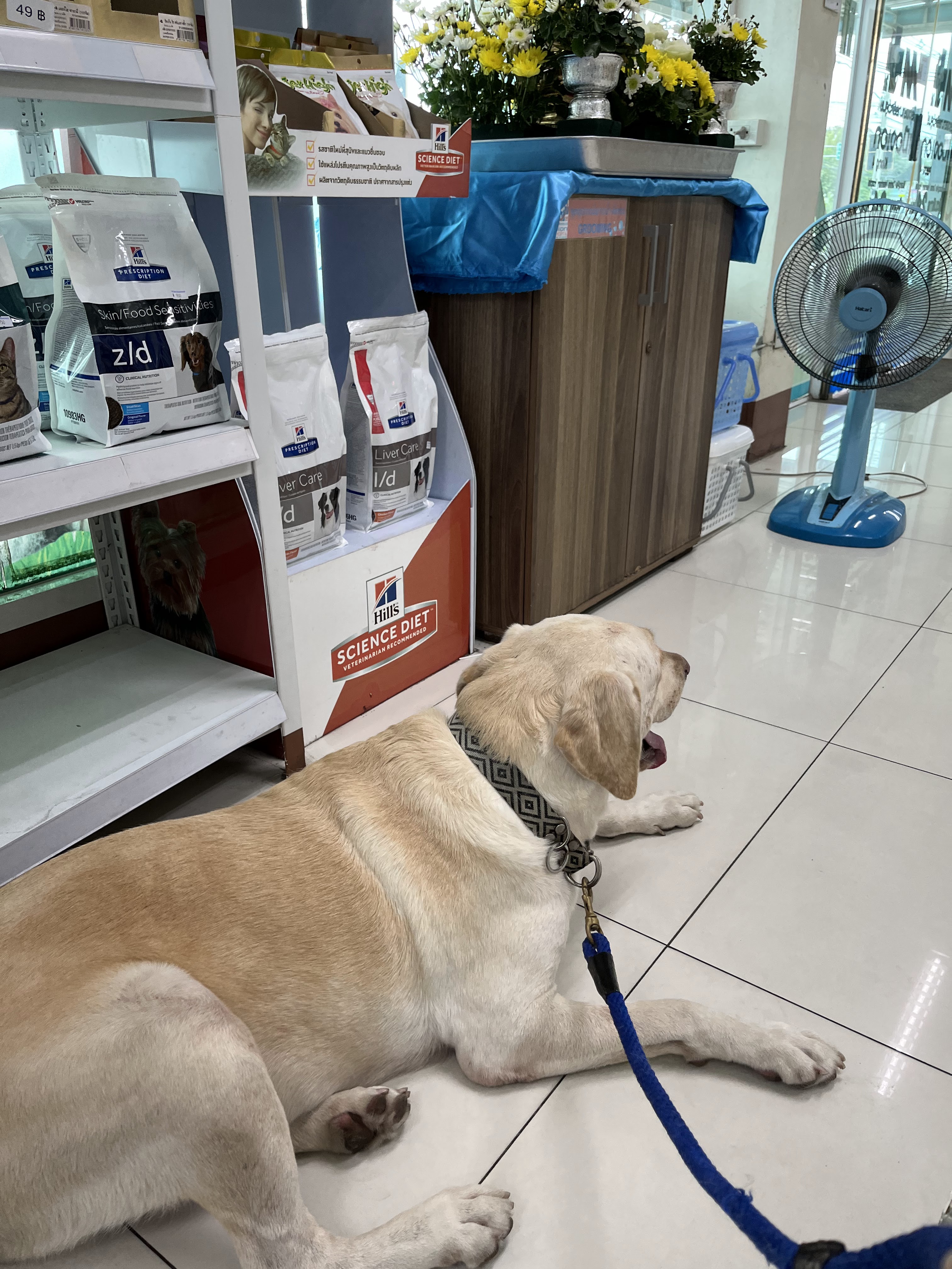 4 Muang Ake Pet Hospital Klong 4