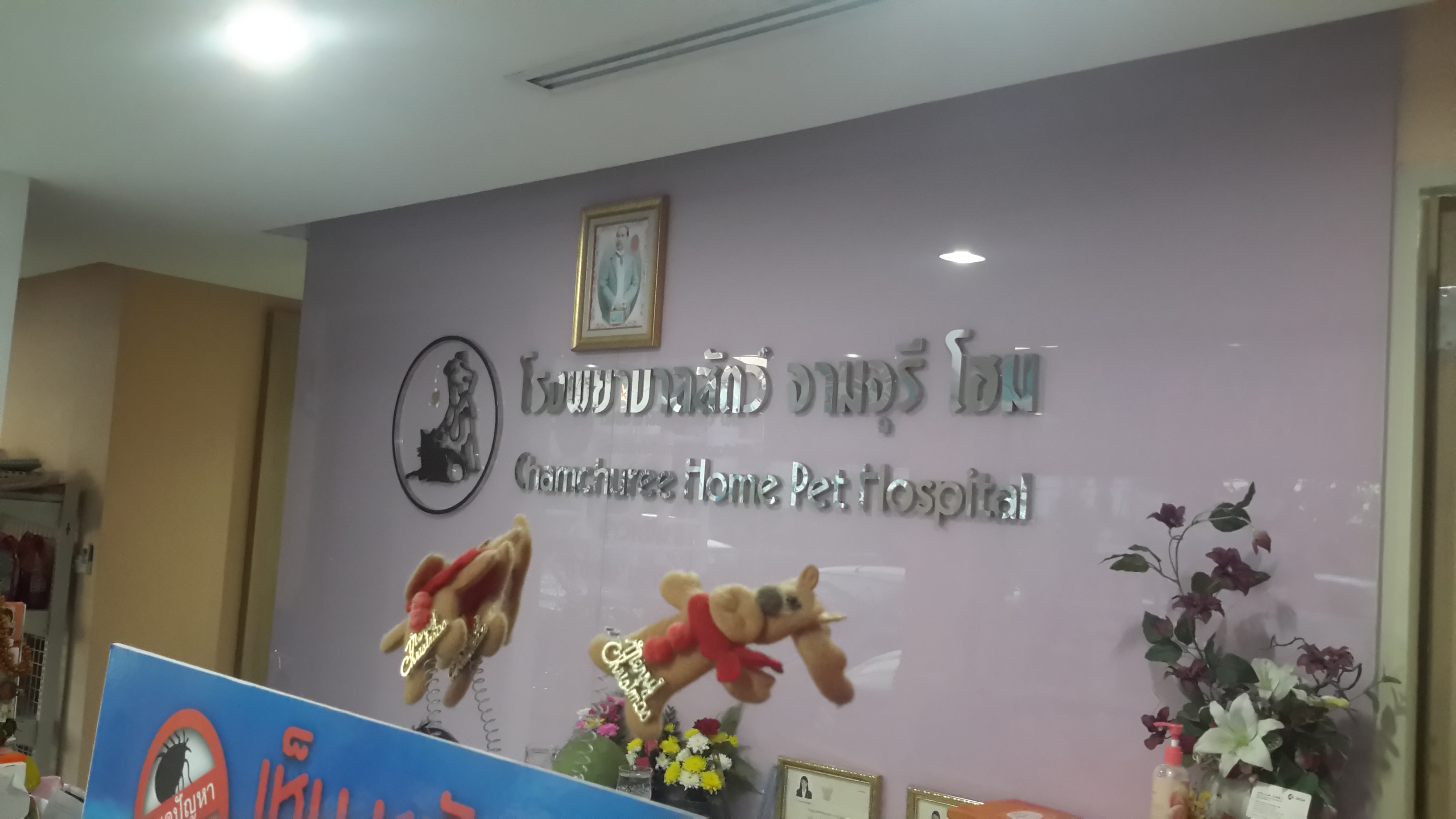 Animal Hospital Company Chamchuri Home Co., Ltd