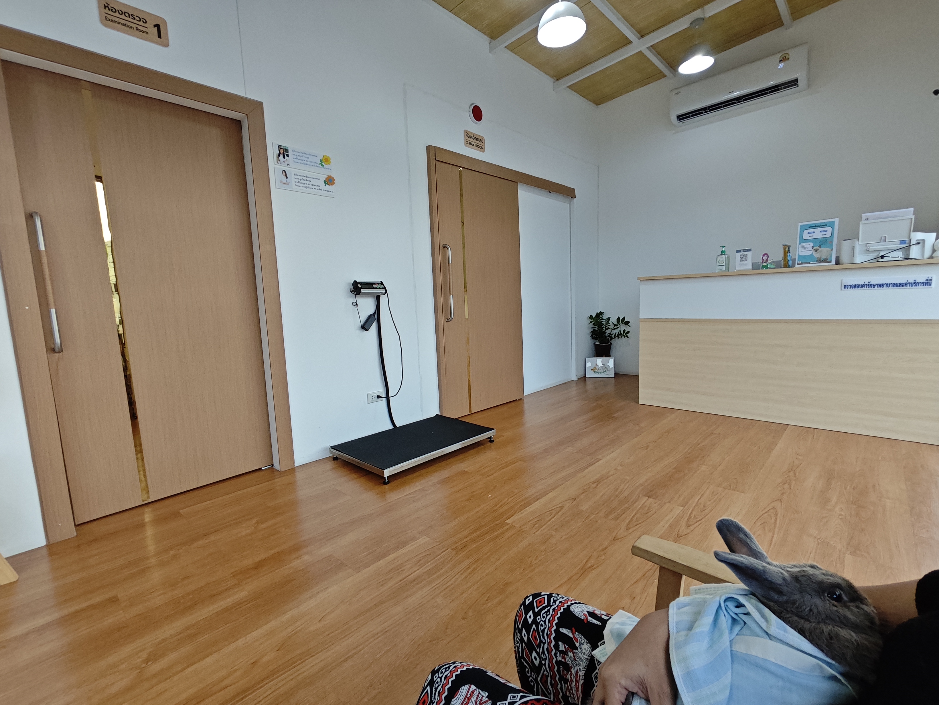Ariel Animal Hospital