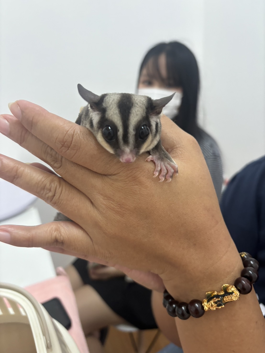 Ariel Animal Hospital