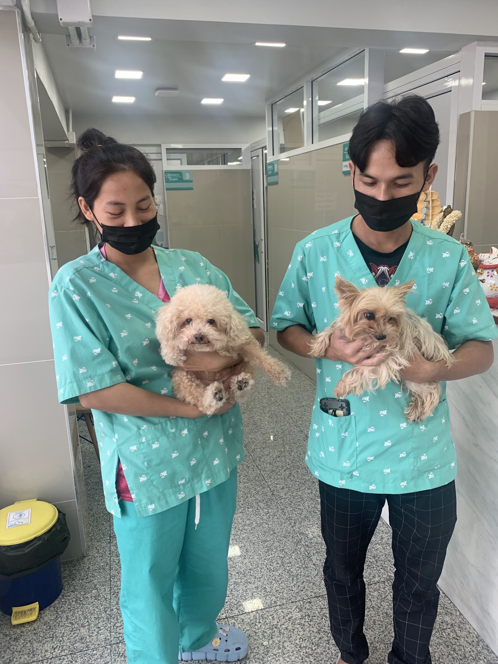Chaengwattana Pet Hospital