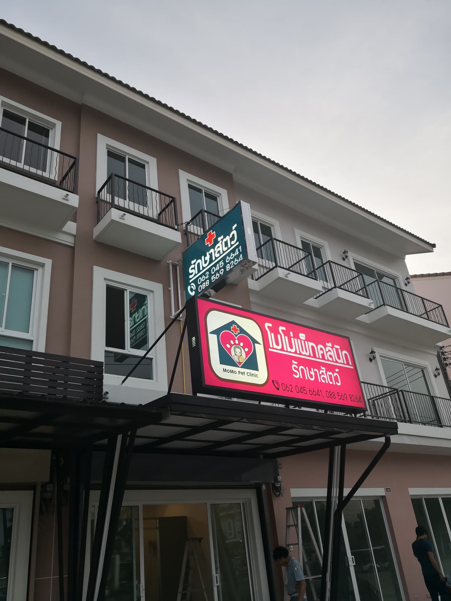 MoMo Pet clinic