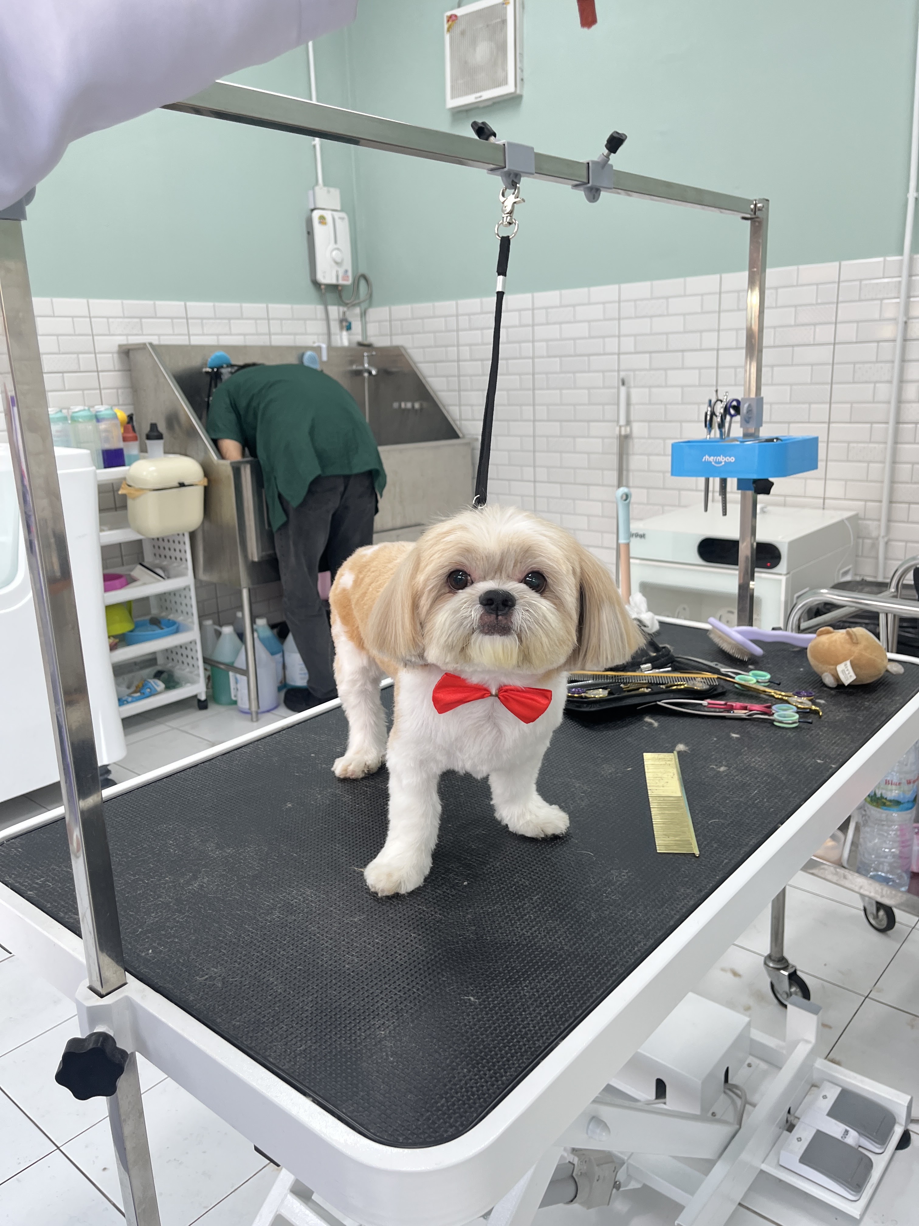 MOYA Pet Care