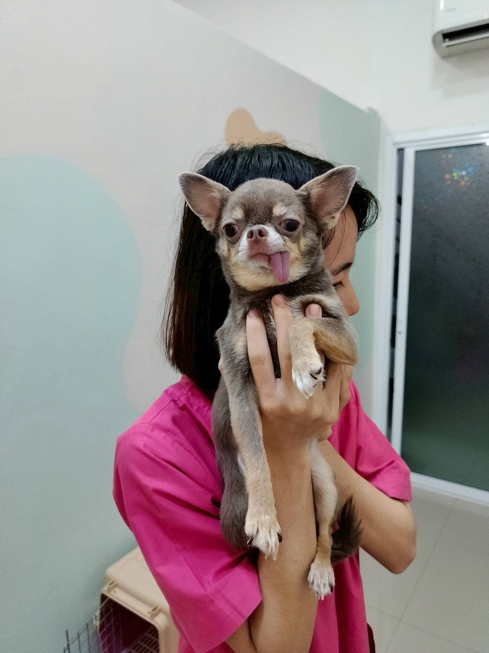 Pet Delight Pet Hospital