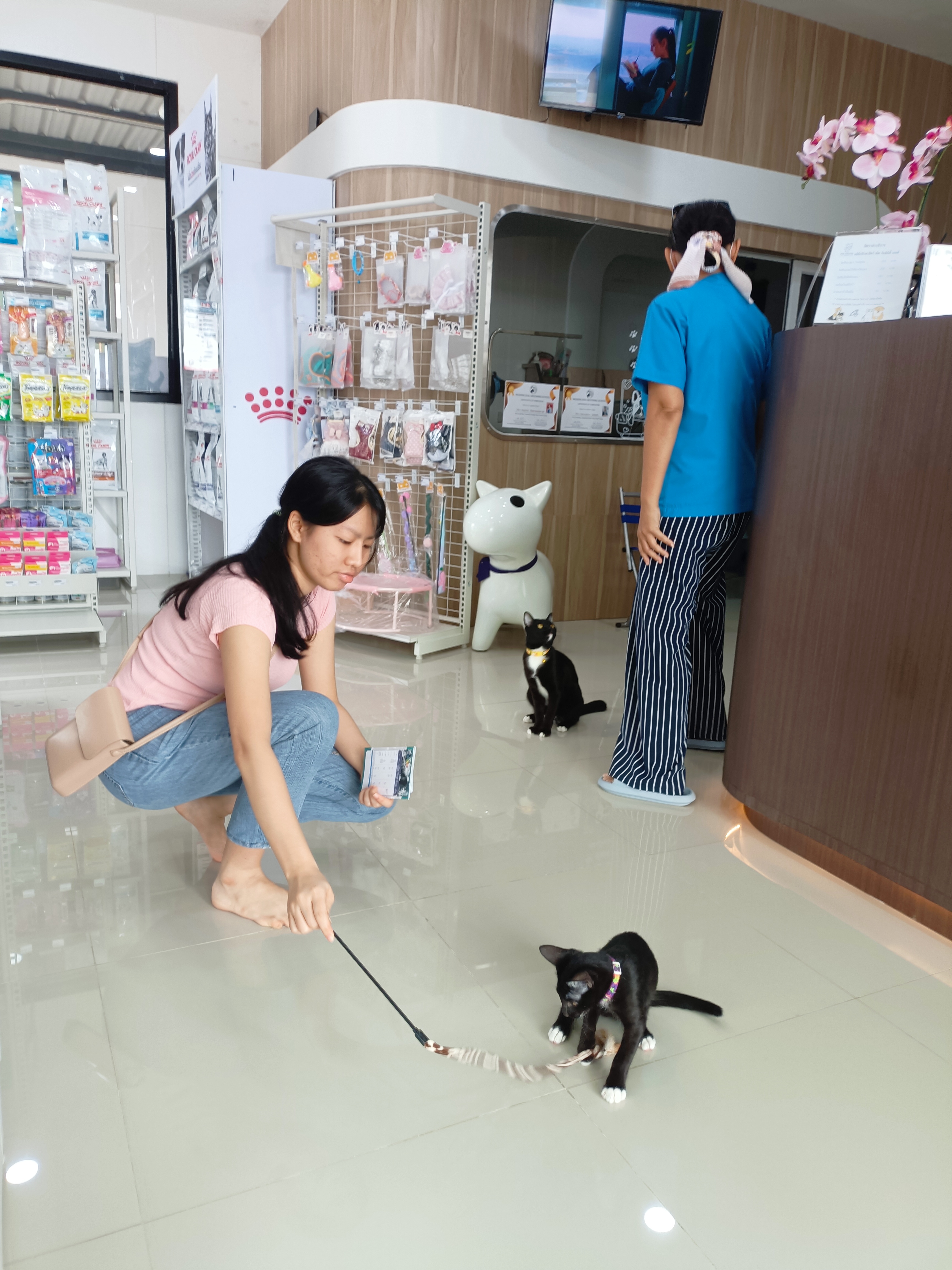 Pet Infinity Health animal clinic