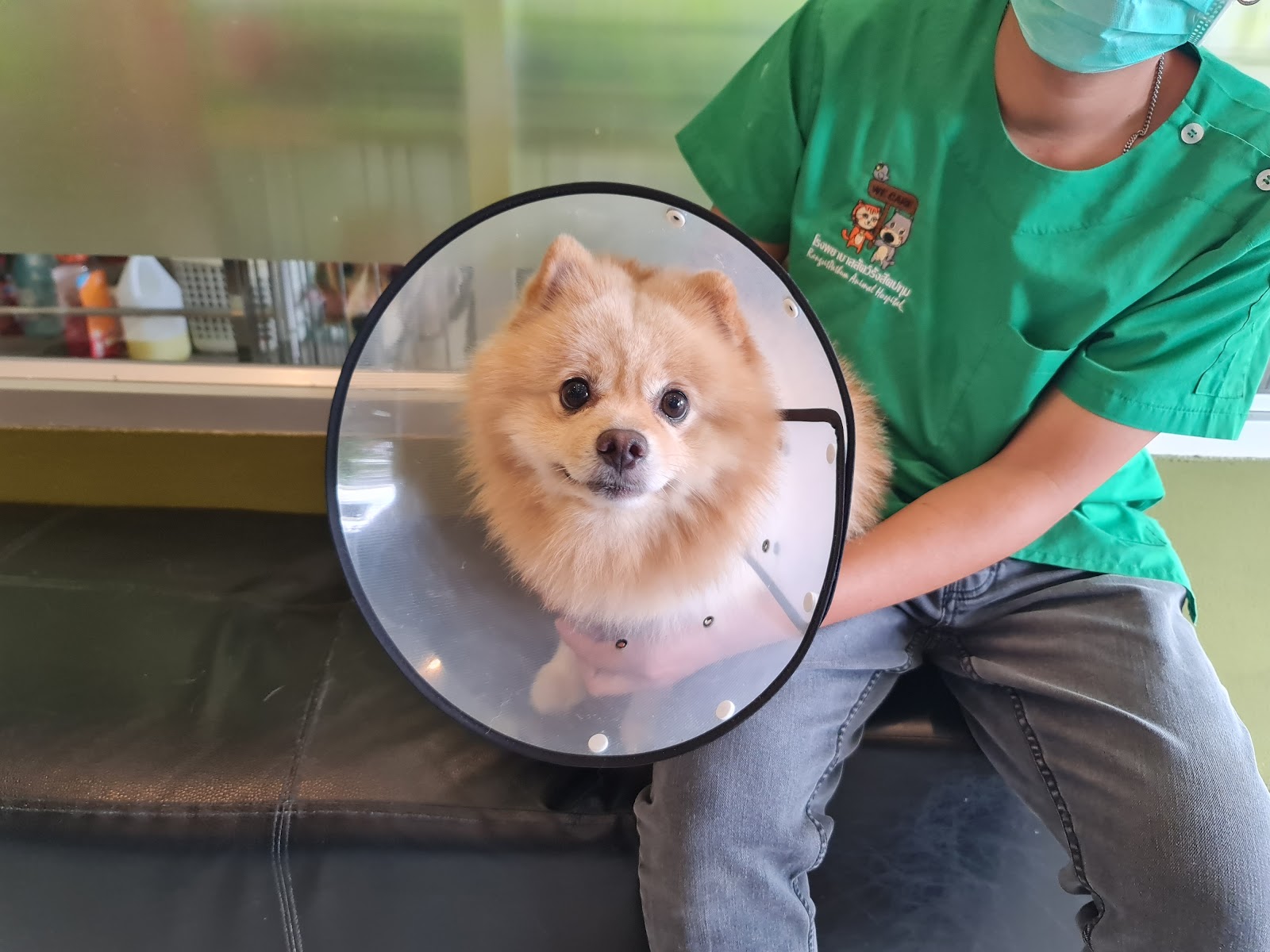 Rangsit Pathum Animal Hospital
