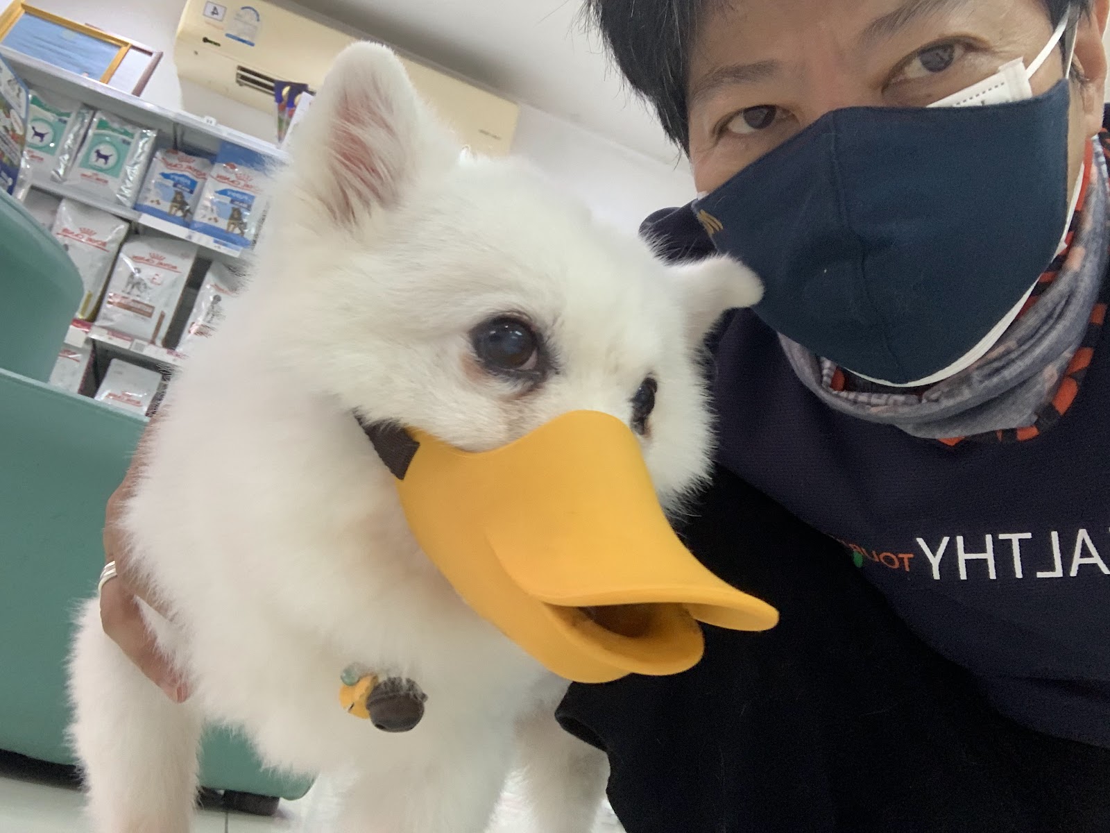 Smile Pets Animal Hospital