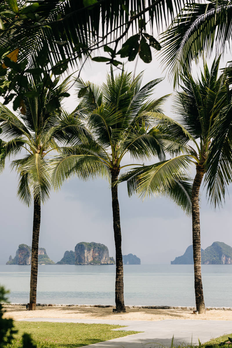 NI Thailand