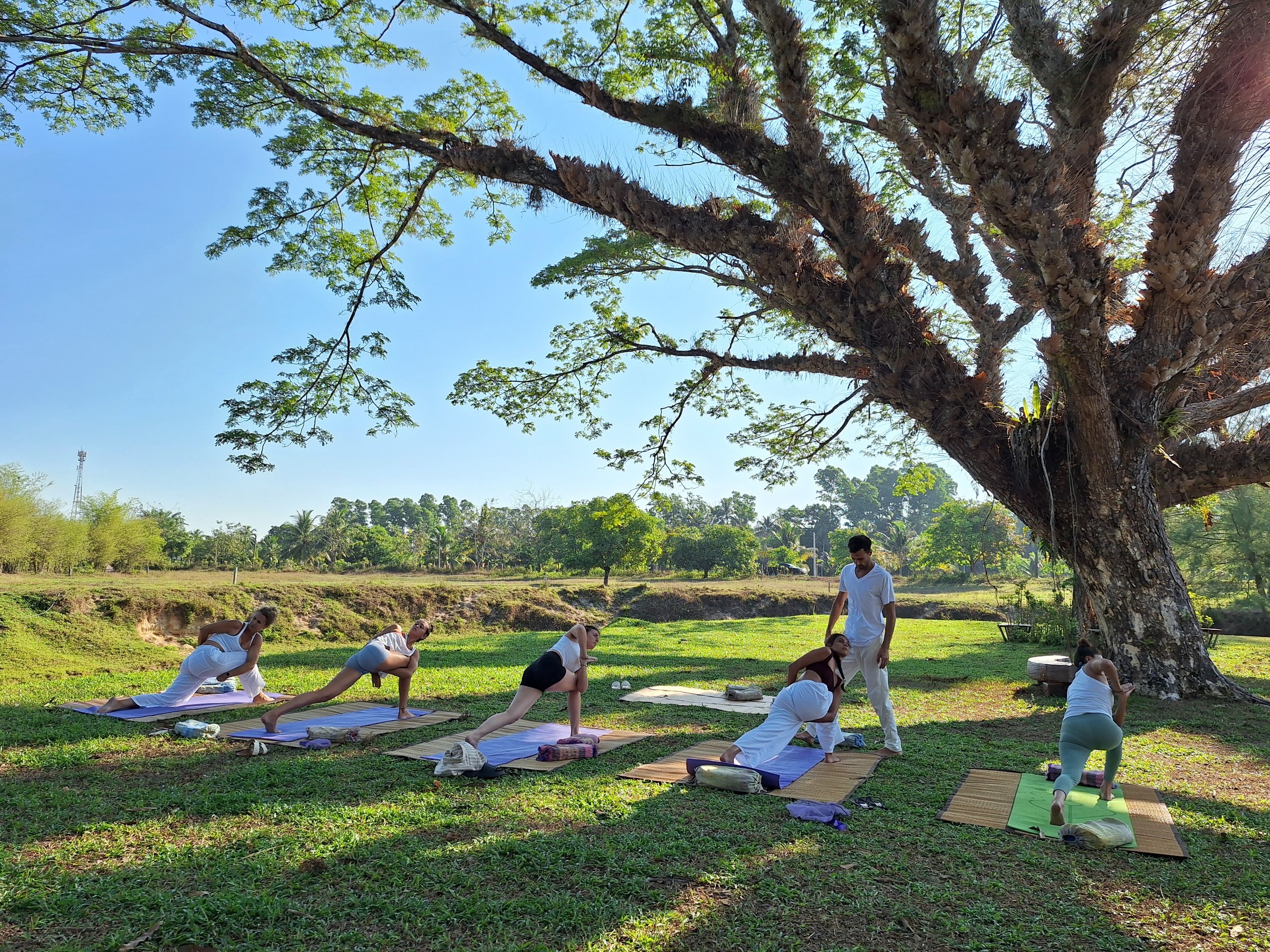 ThaiLife Wellness and Meditation Resort