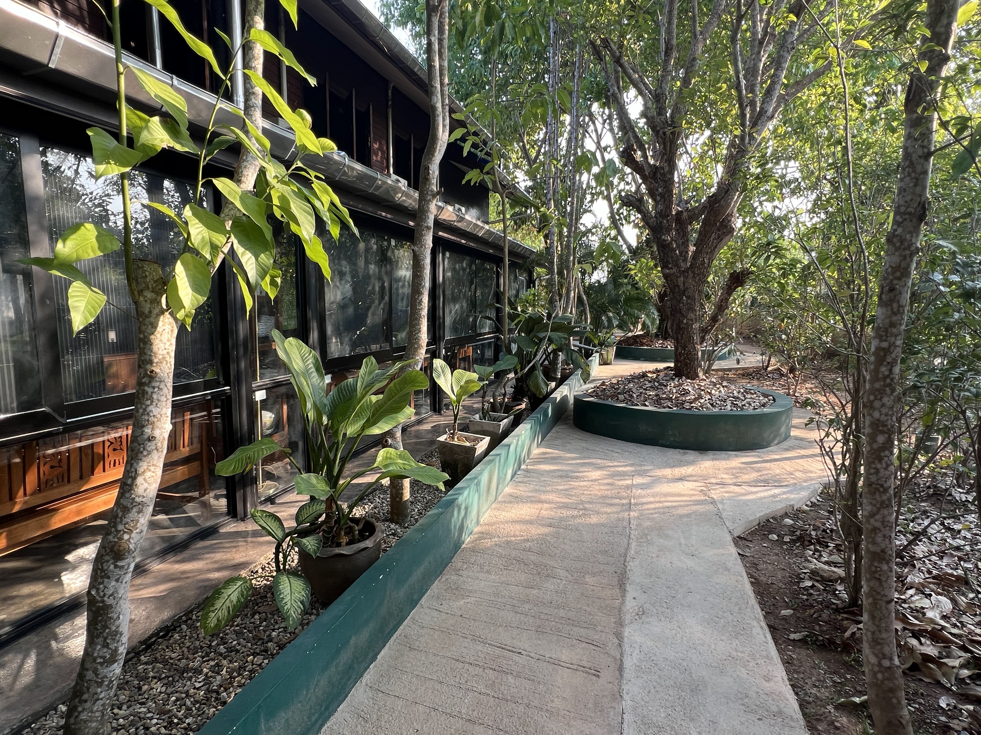 HomeandHomestay Chiang Kham District