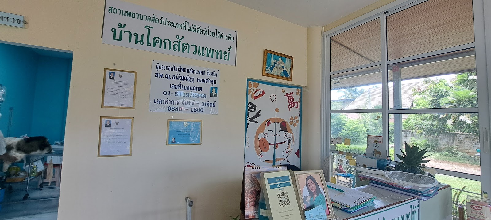 Ban Khok vet clinic