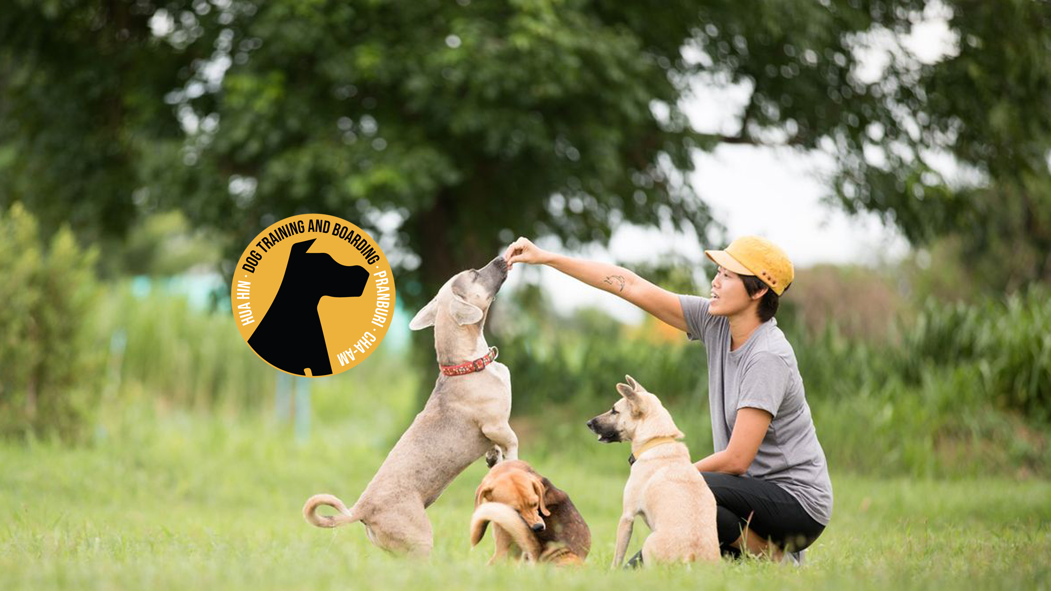Hua Hin Dog Training and Boarding