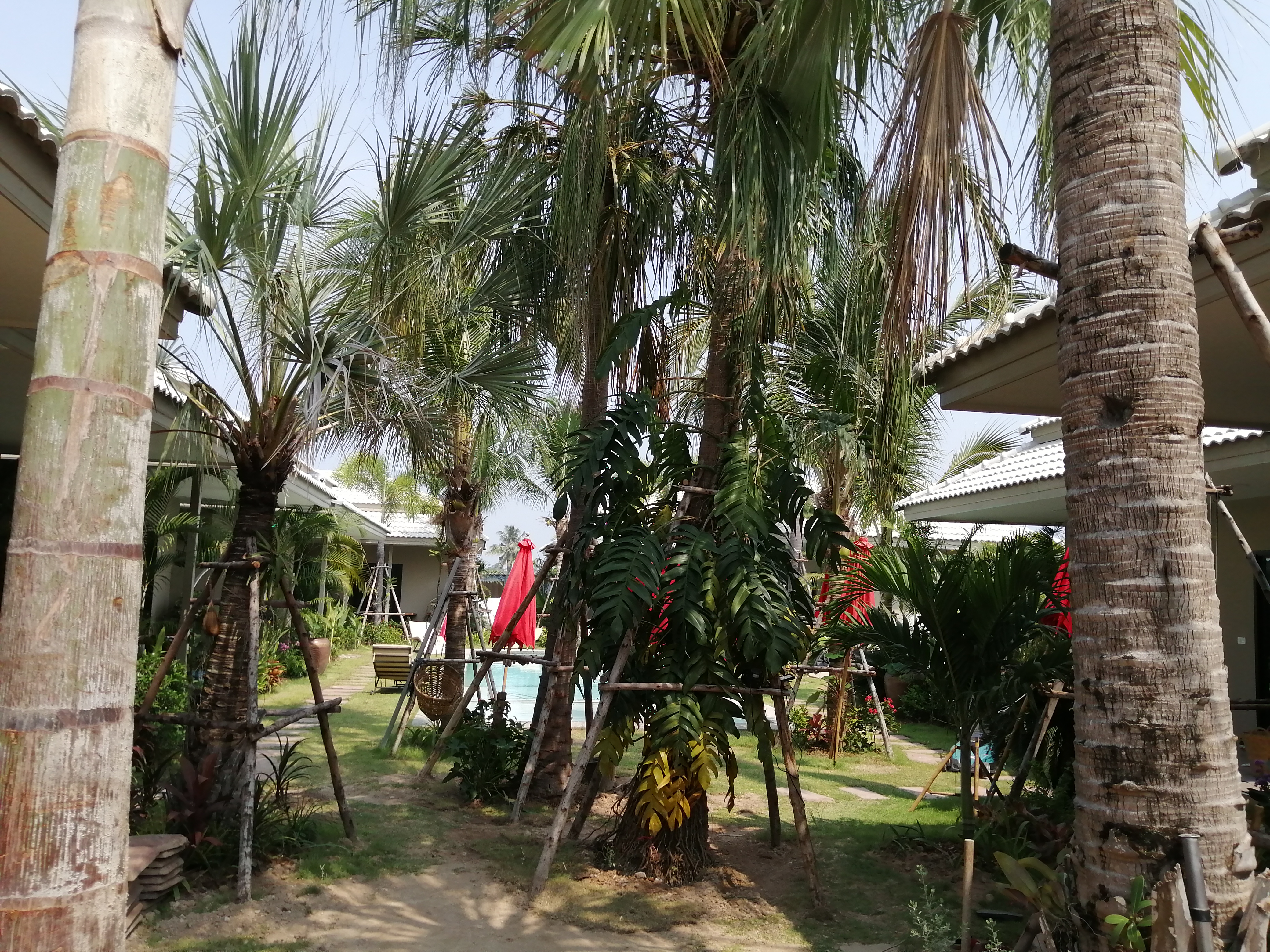 Tropical House