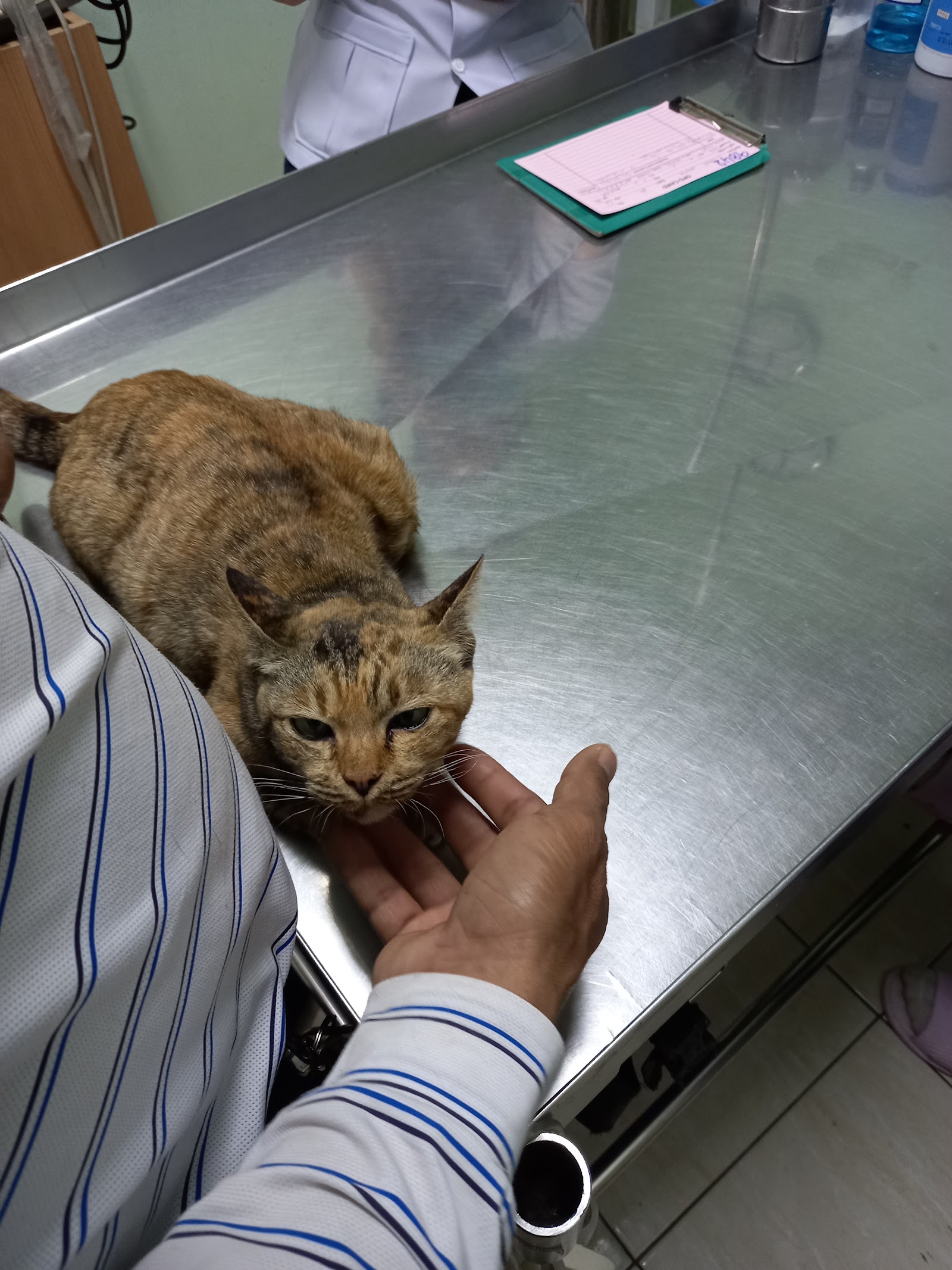 Banraksat Animal Hospital