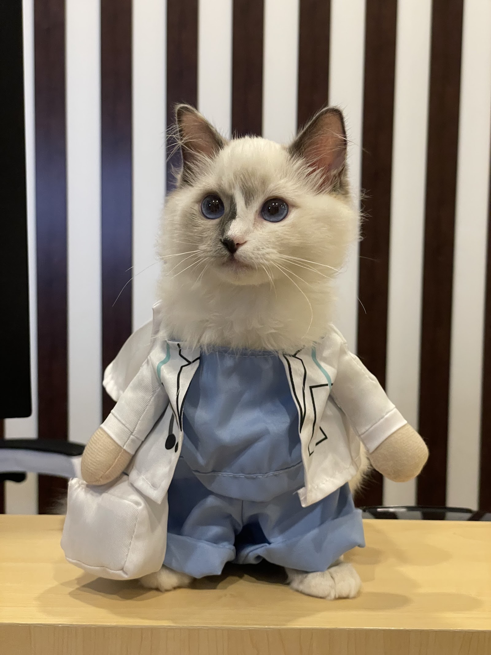 Good Time Pet Clinic