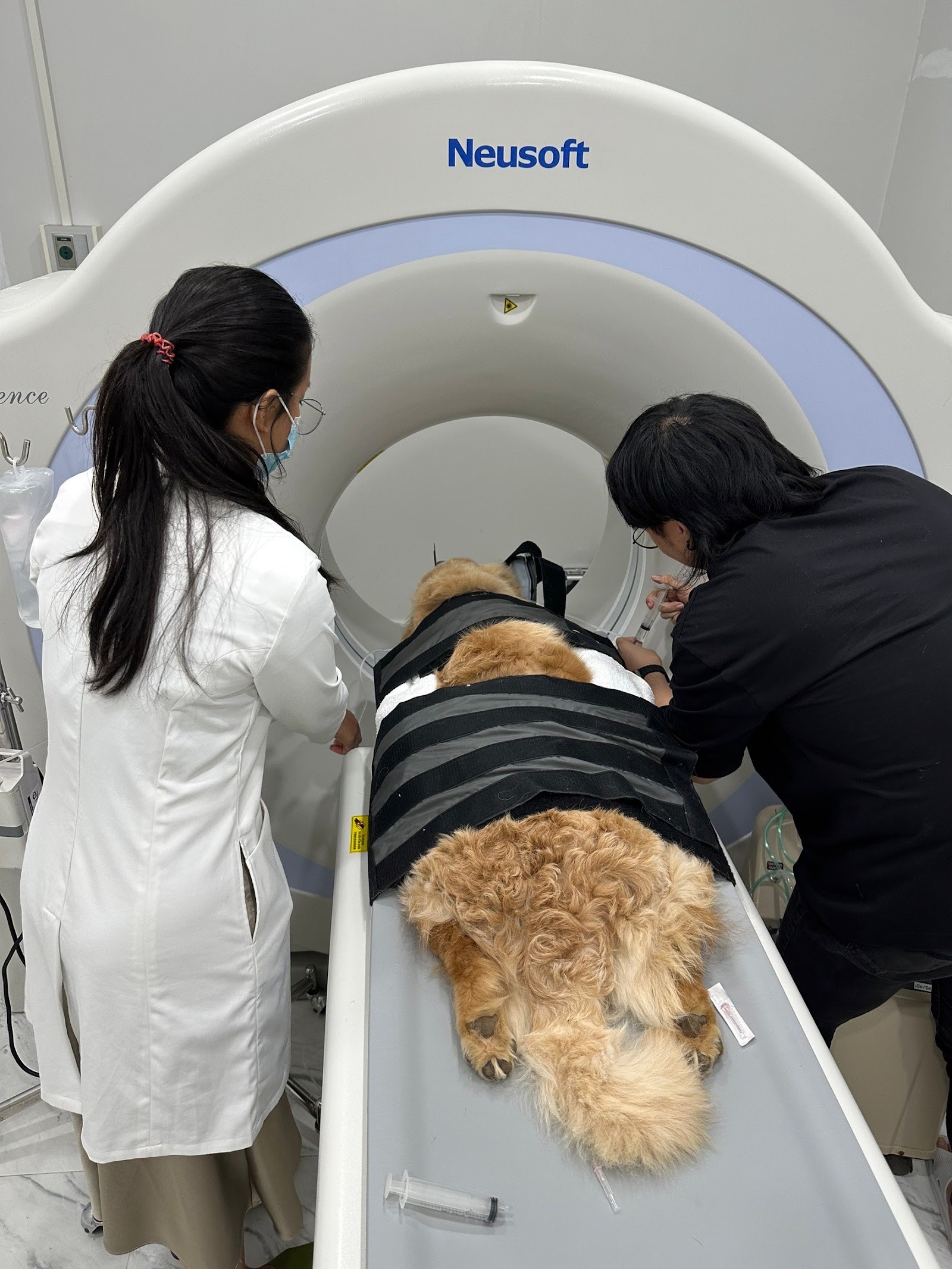 Arak Animal Hospital Phuket