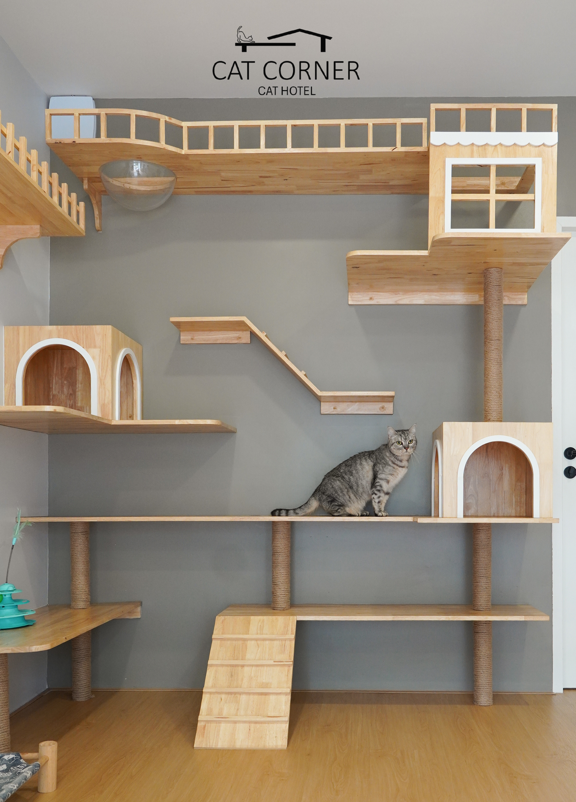 Cat Corner Cat Hotel Phuket