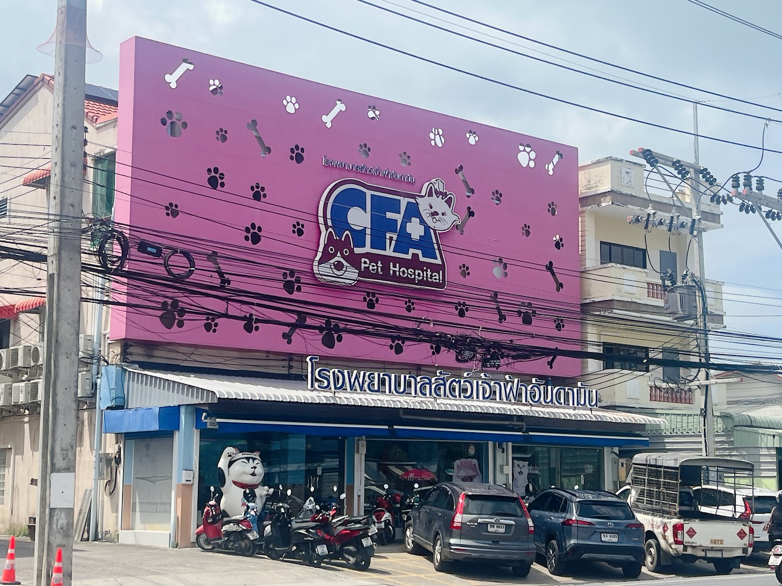 CFA Pet Hospital