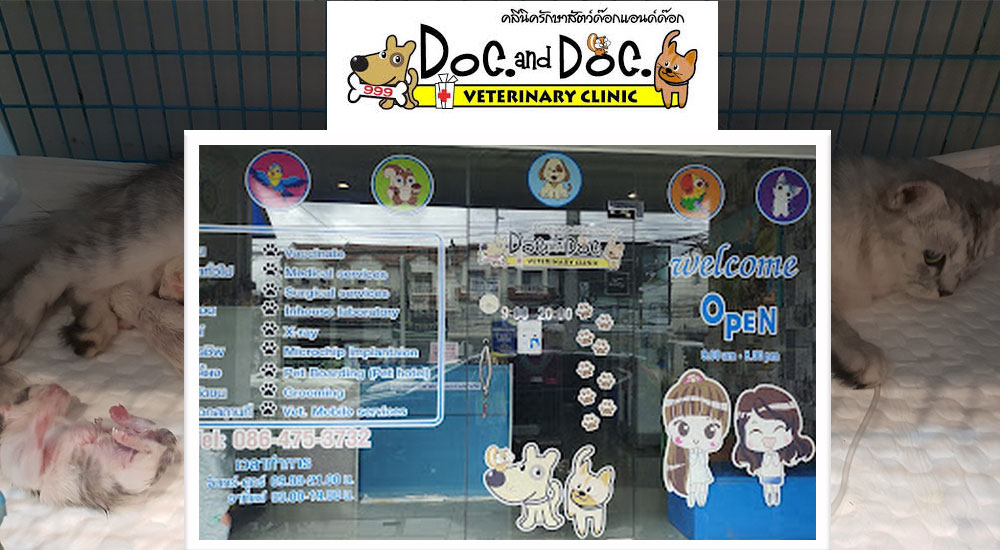 Doc. and Doc. Veterinary Clinic Phuket