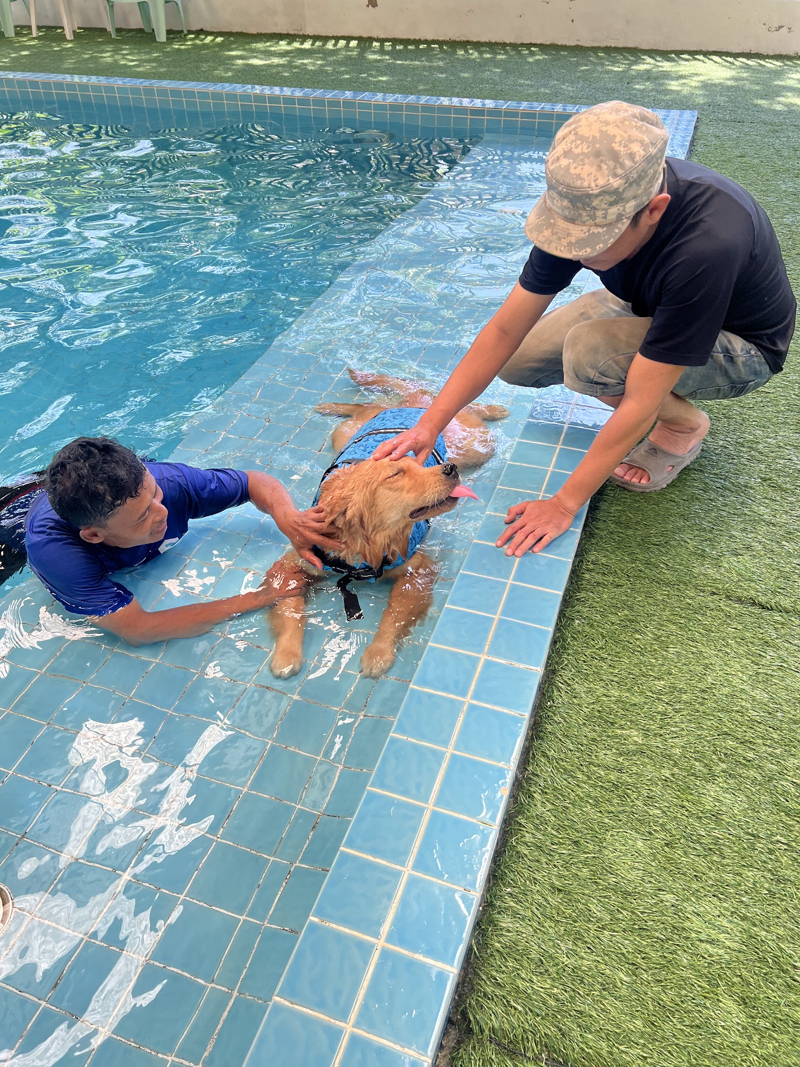 Phuket Dog School & Hotel