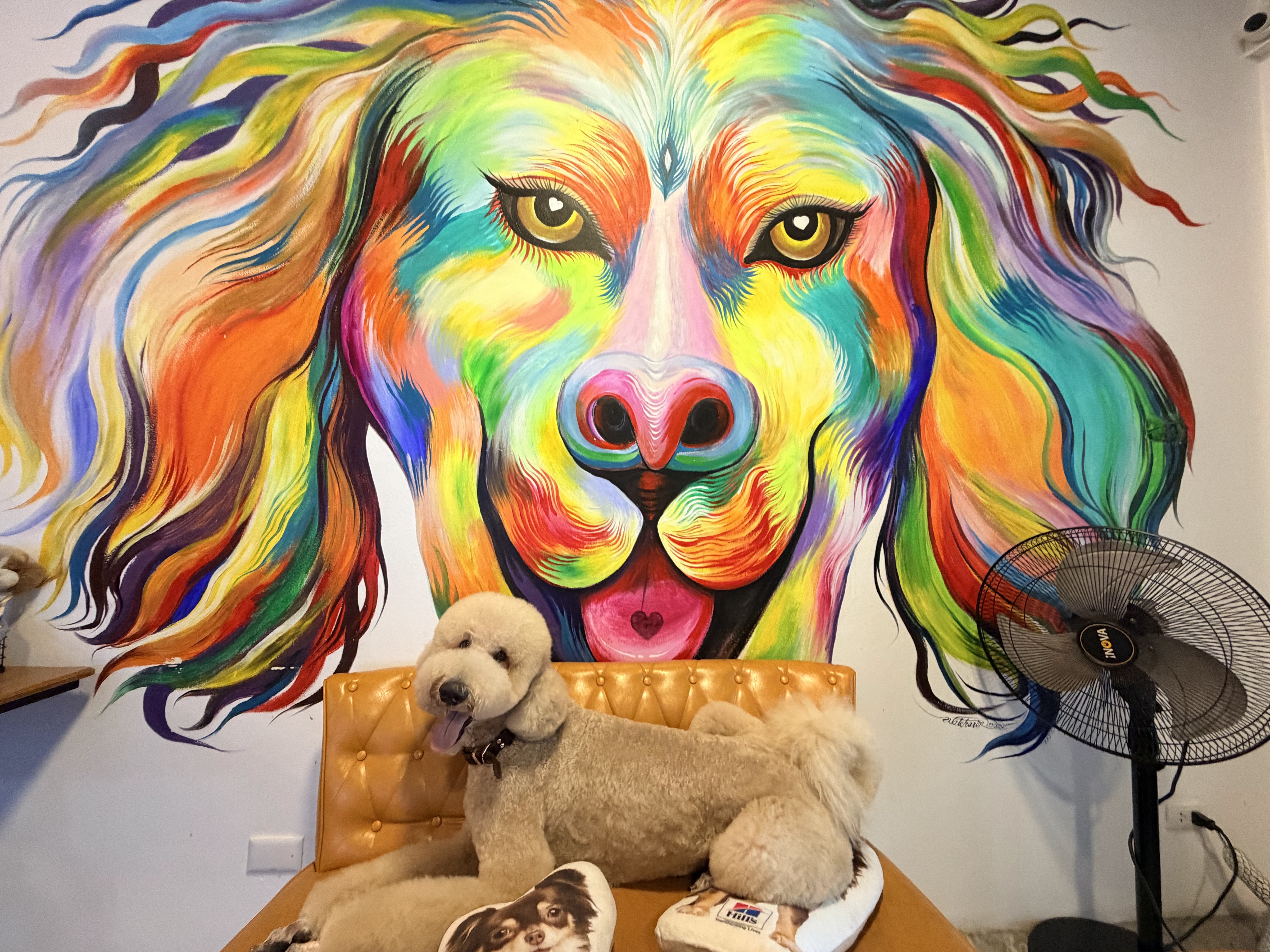 Smilepet & grooming