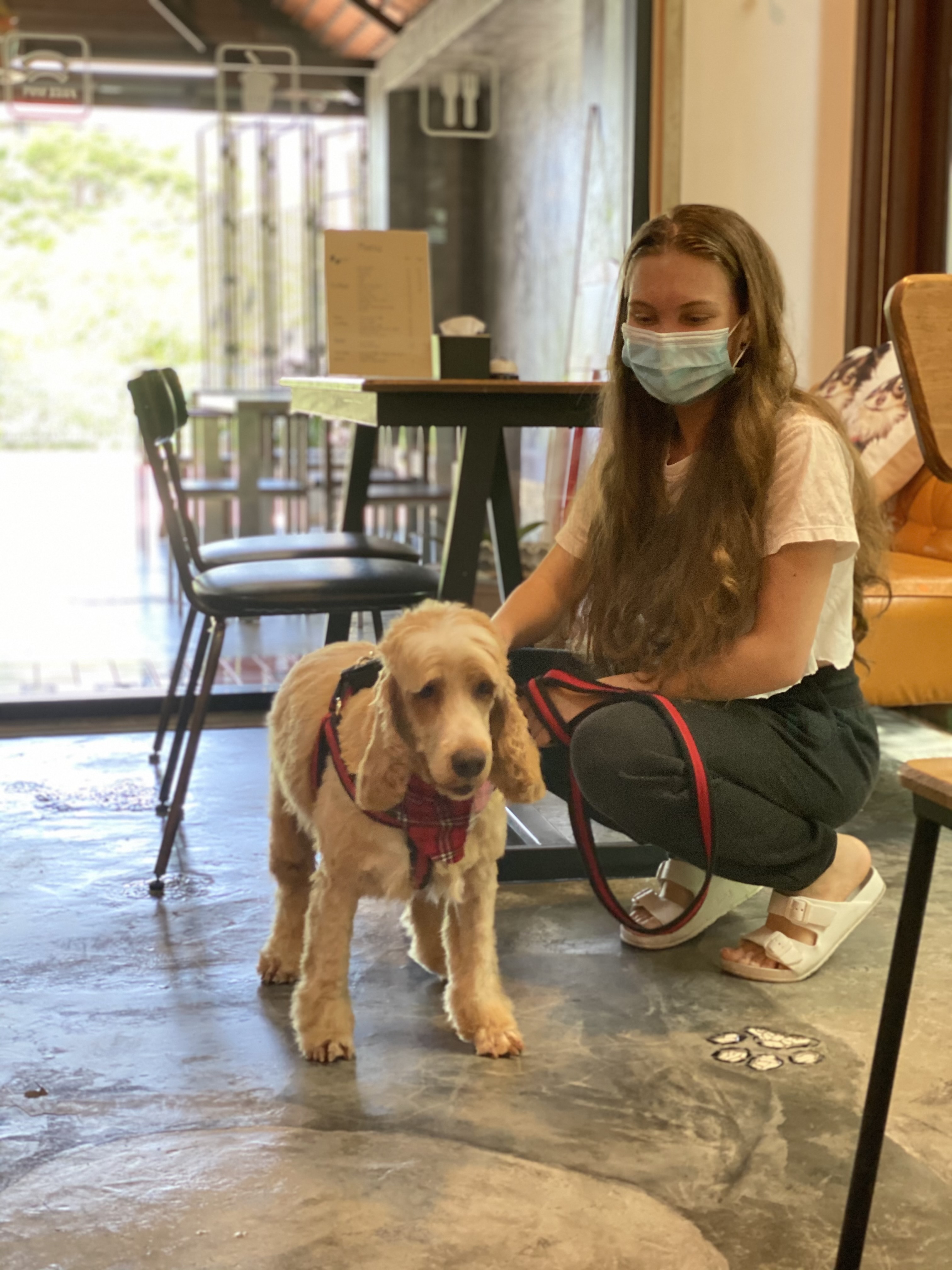 Smilepet & grooming