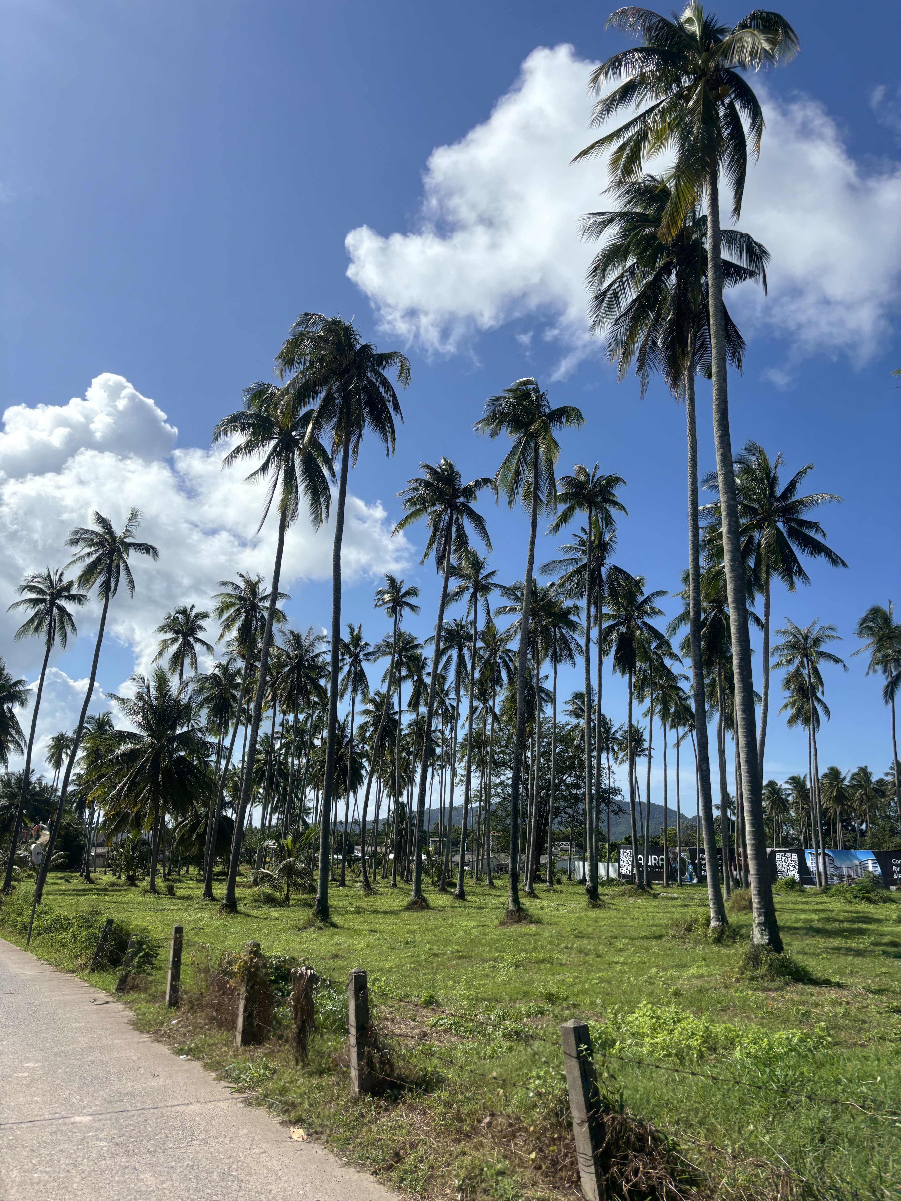 The Rai Resort