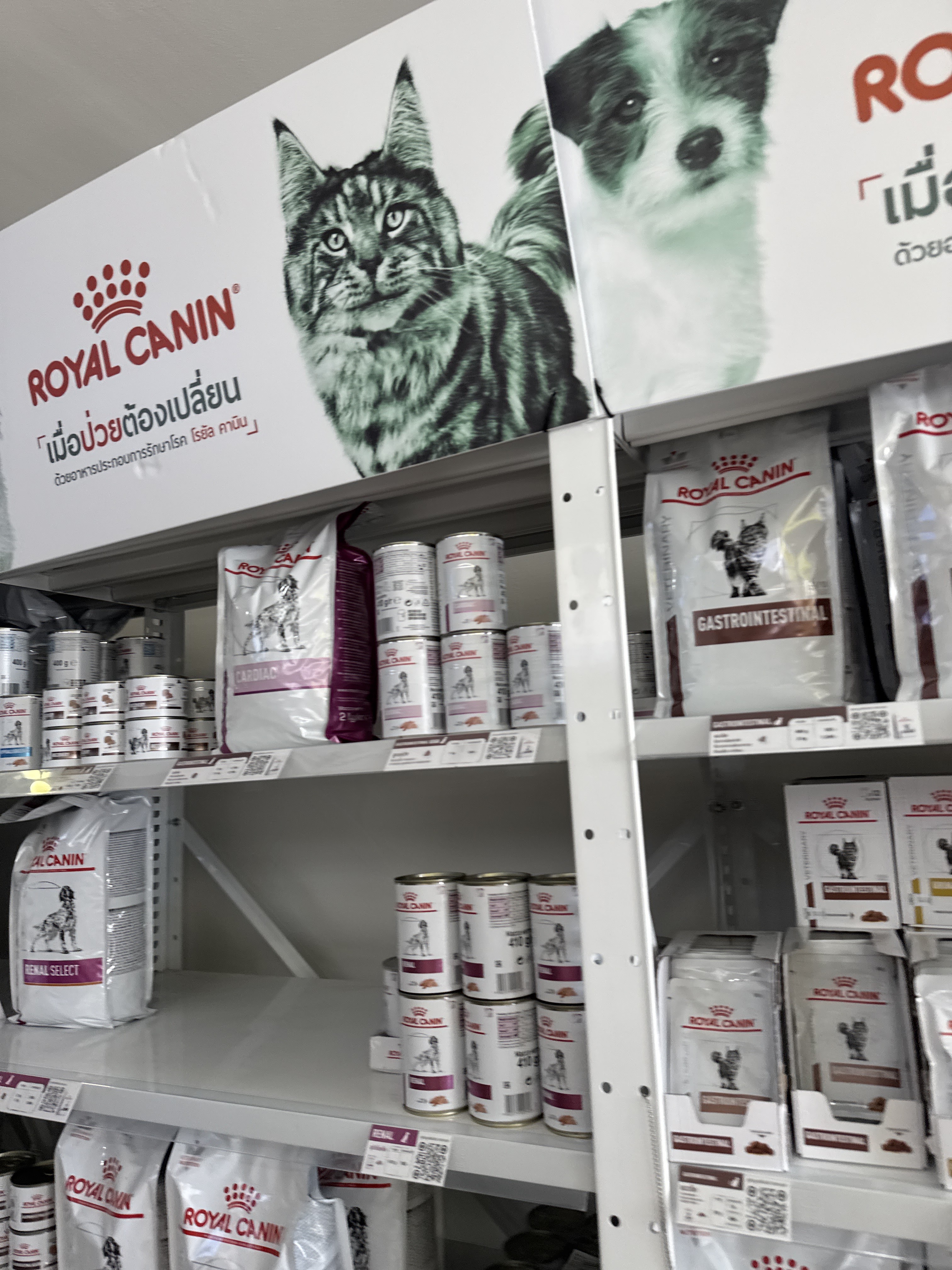 Vetmed Animal Hospital Phuket