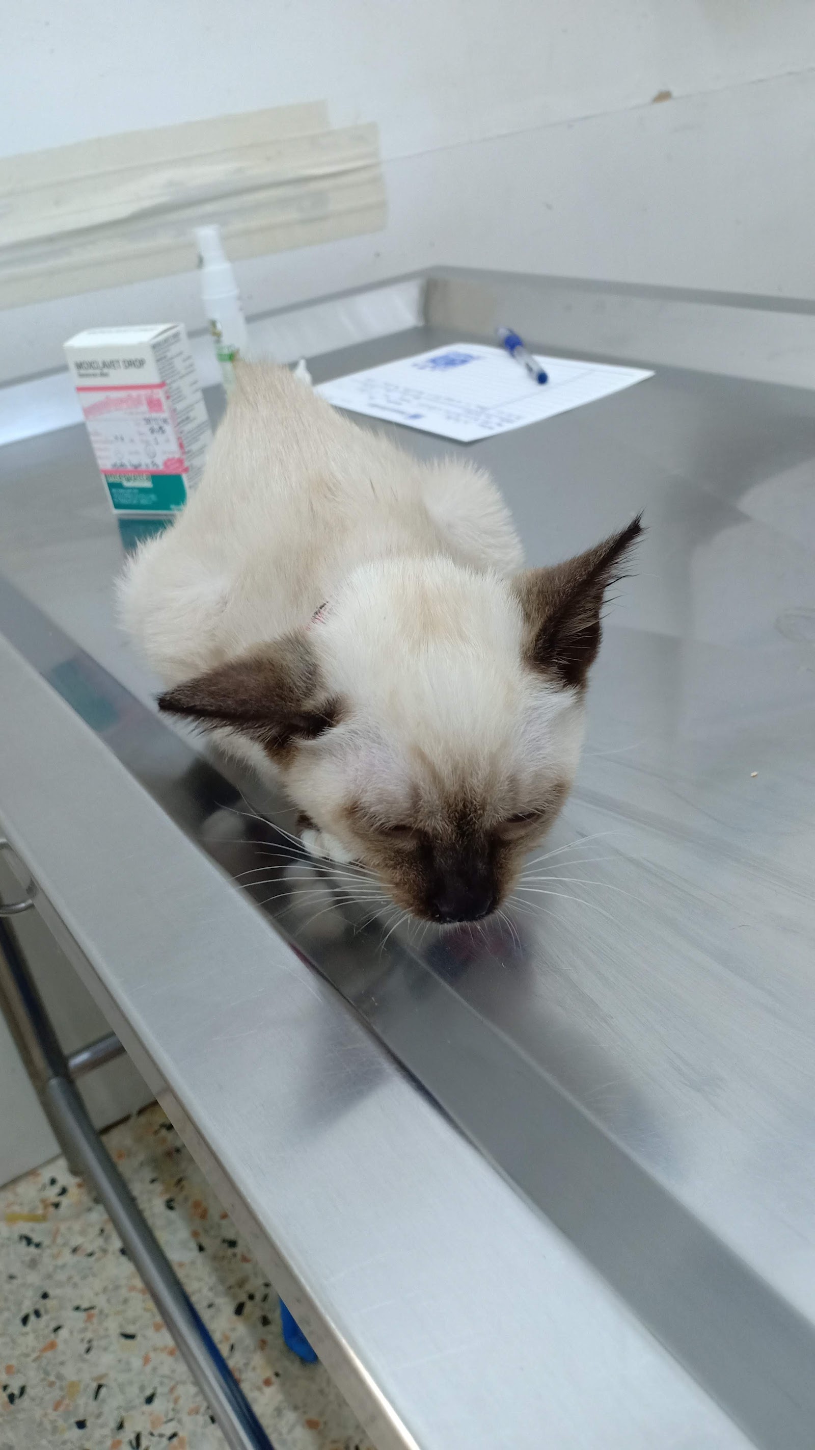 Veterinarian Clinc
