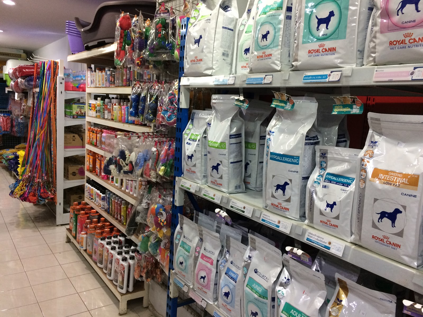 Hua Hin Animal Hospital