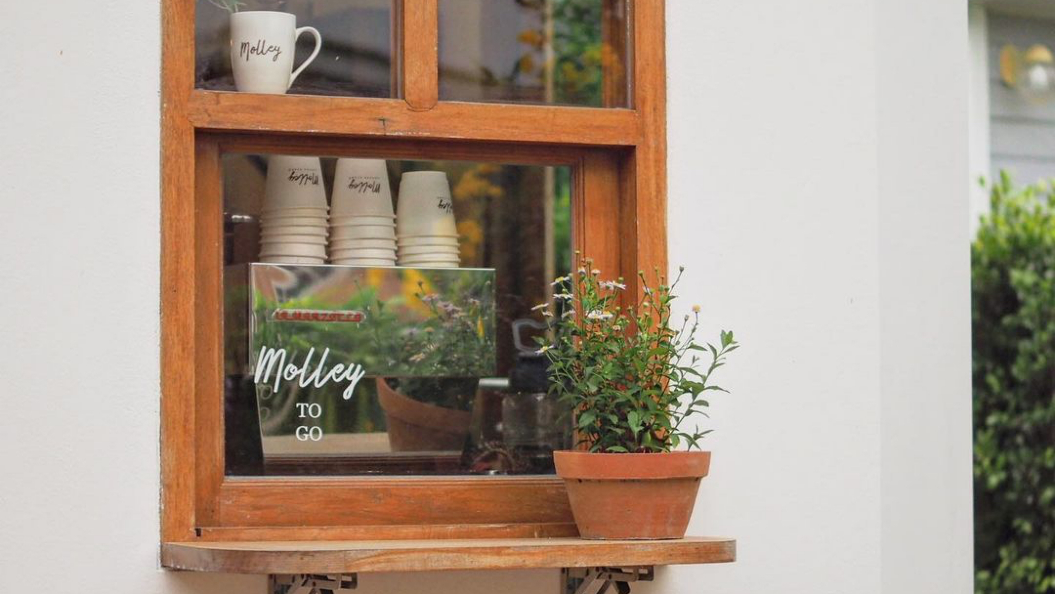 Molley Coffee Stand