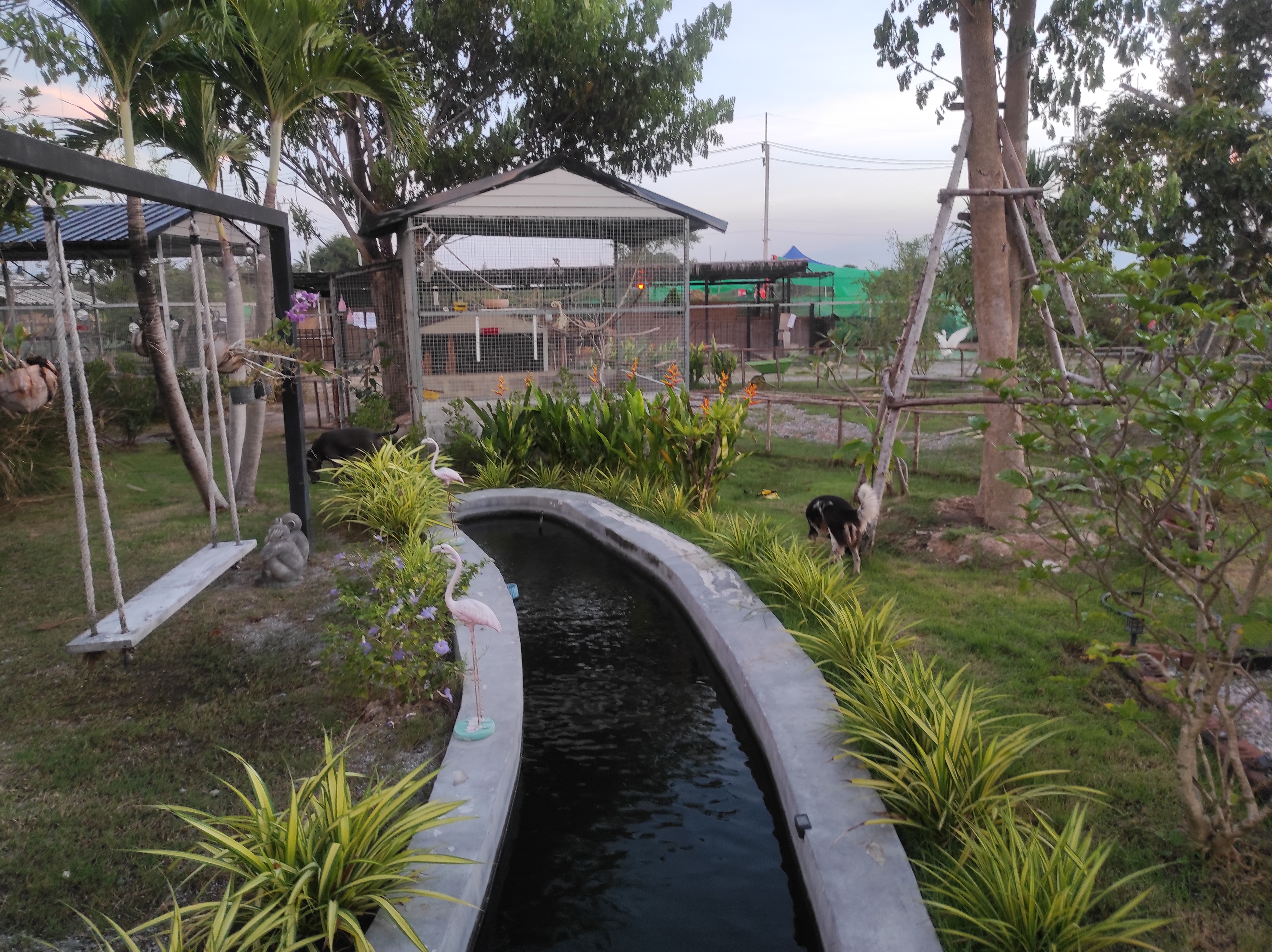 Parrotdise Organic Farm & Cafe