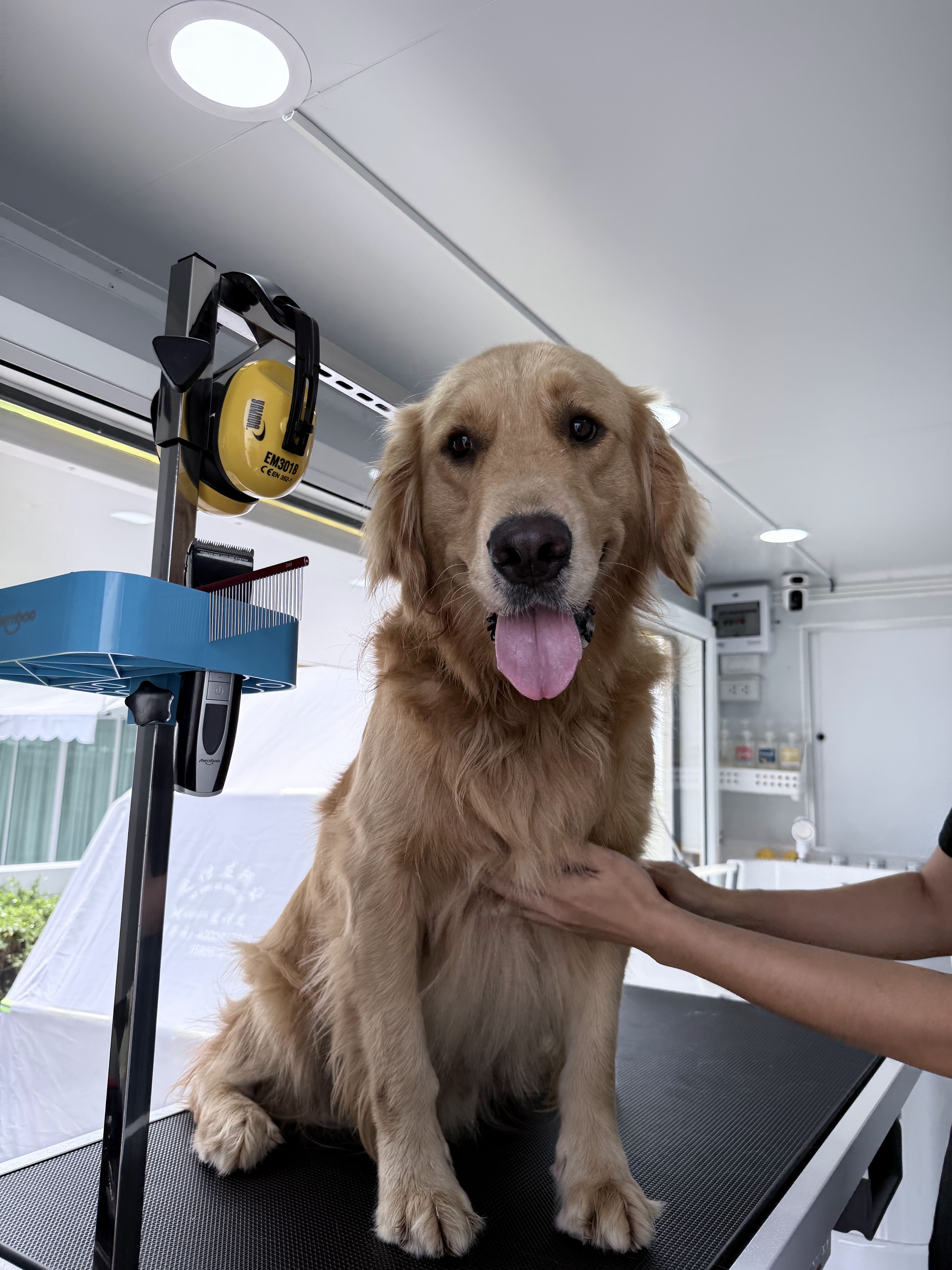 Pet Passions Mobile Grooming & Spa