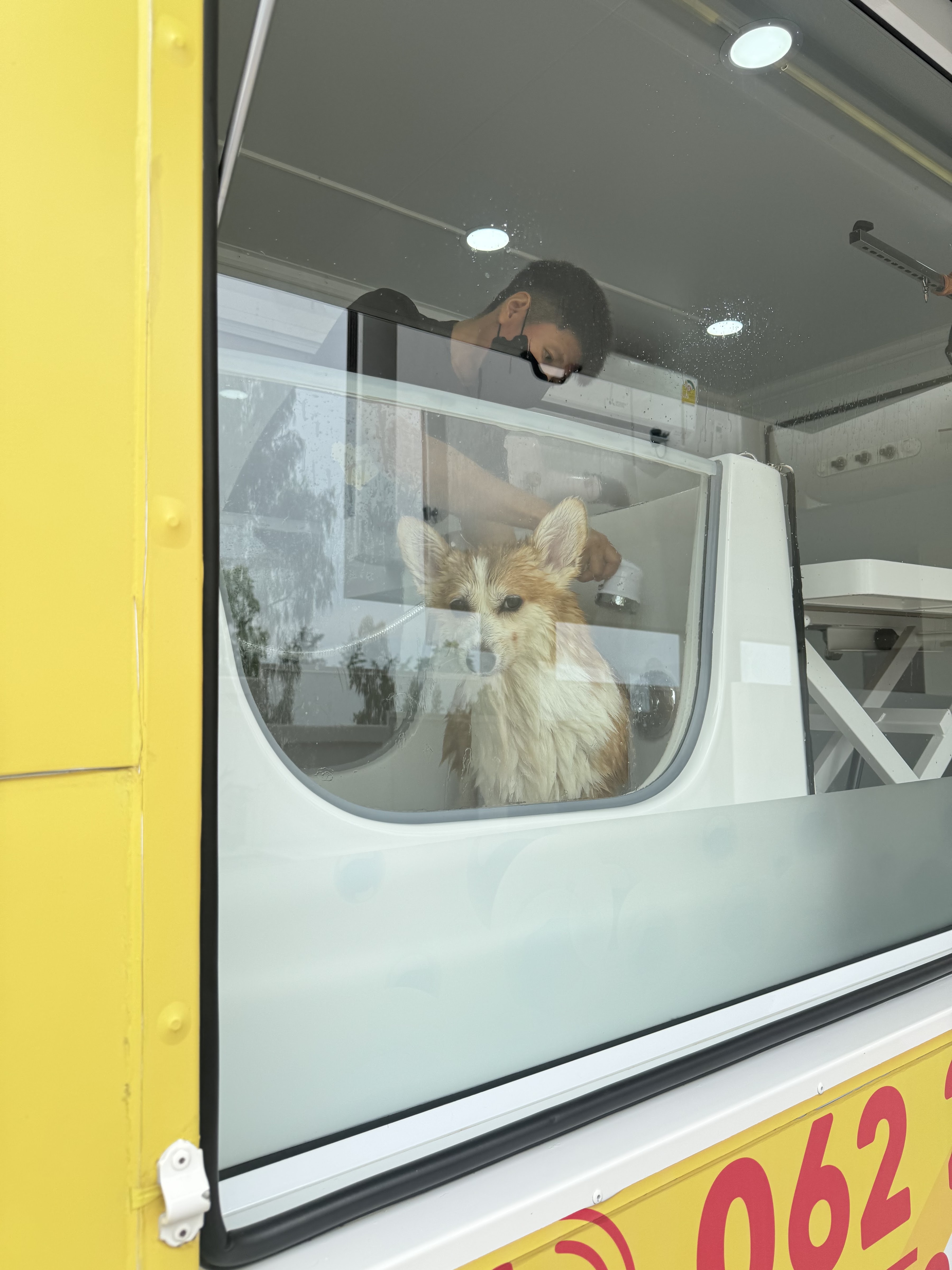 Pet Passions Mobile Grooming & Spa