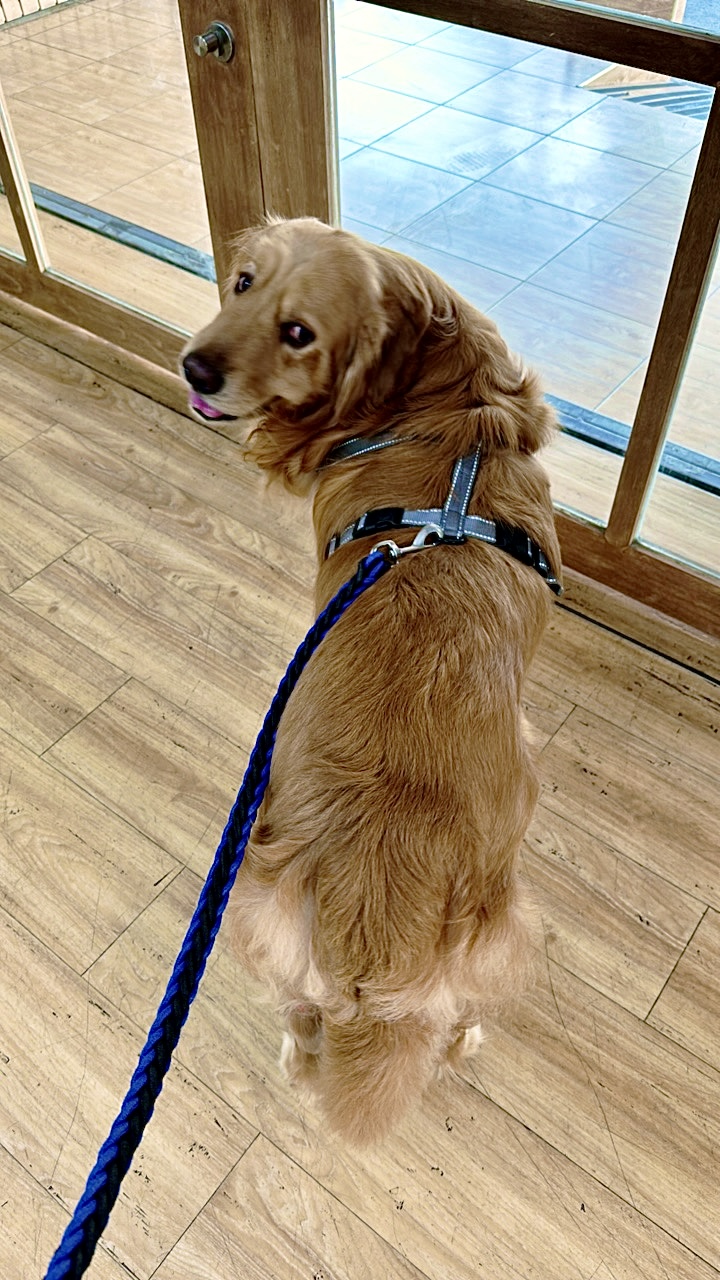 Ratchaburi Pet Hospital (Rajaburi Pet Hospital)