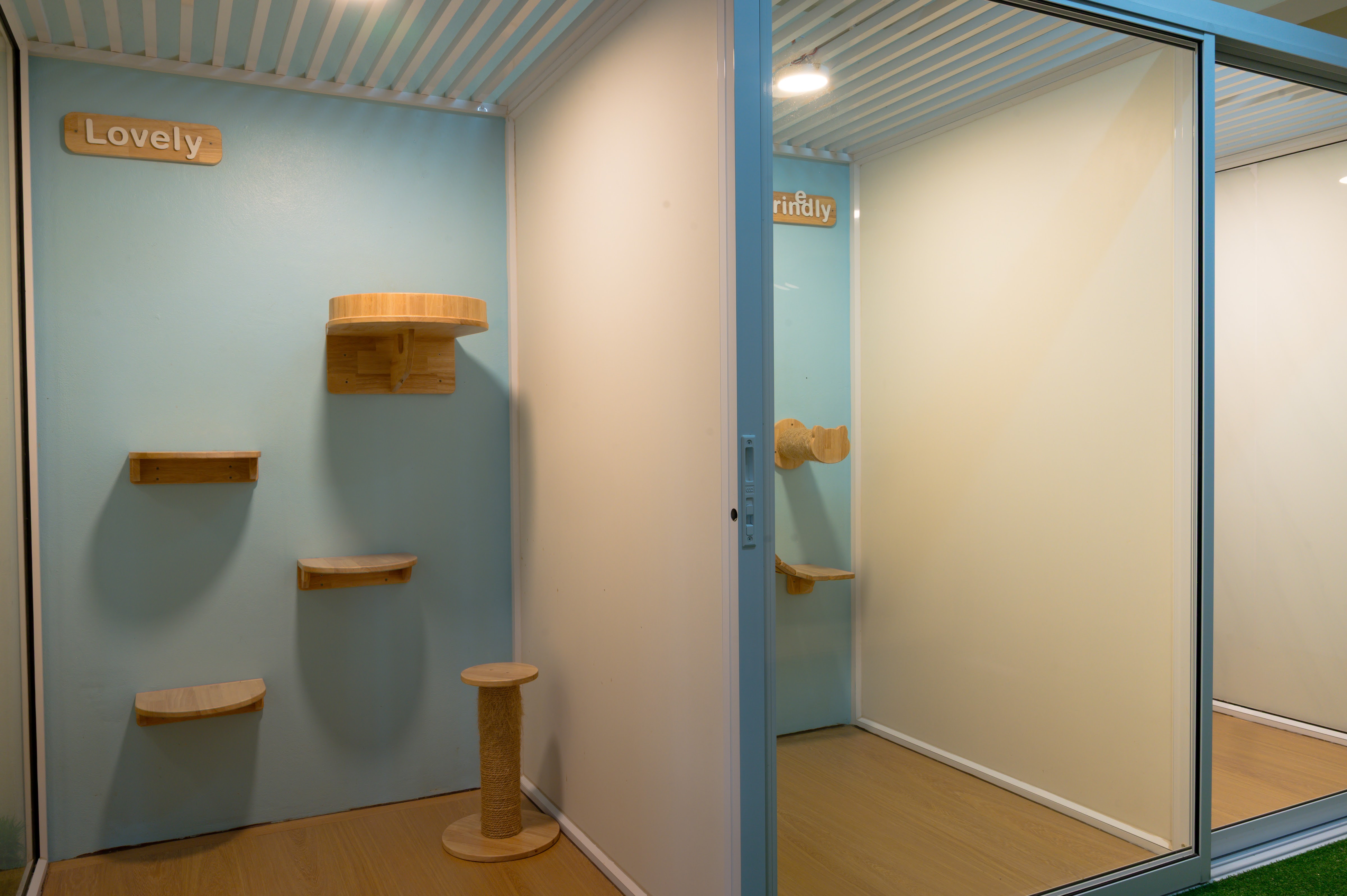 Choeng Noen Animal Hospital, Rayong