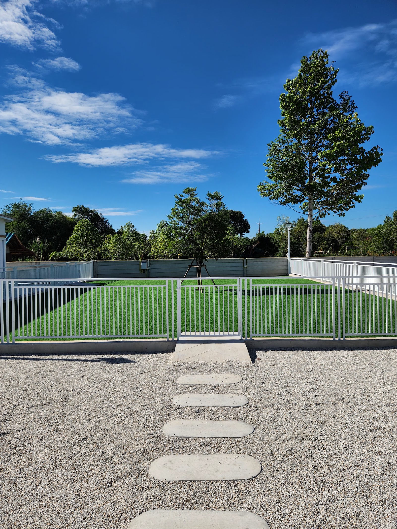 Fluffy Space - Dog pool and playground