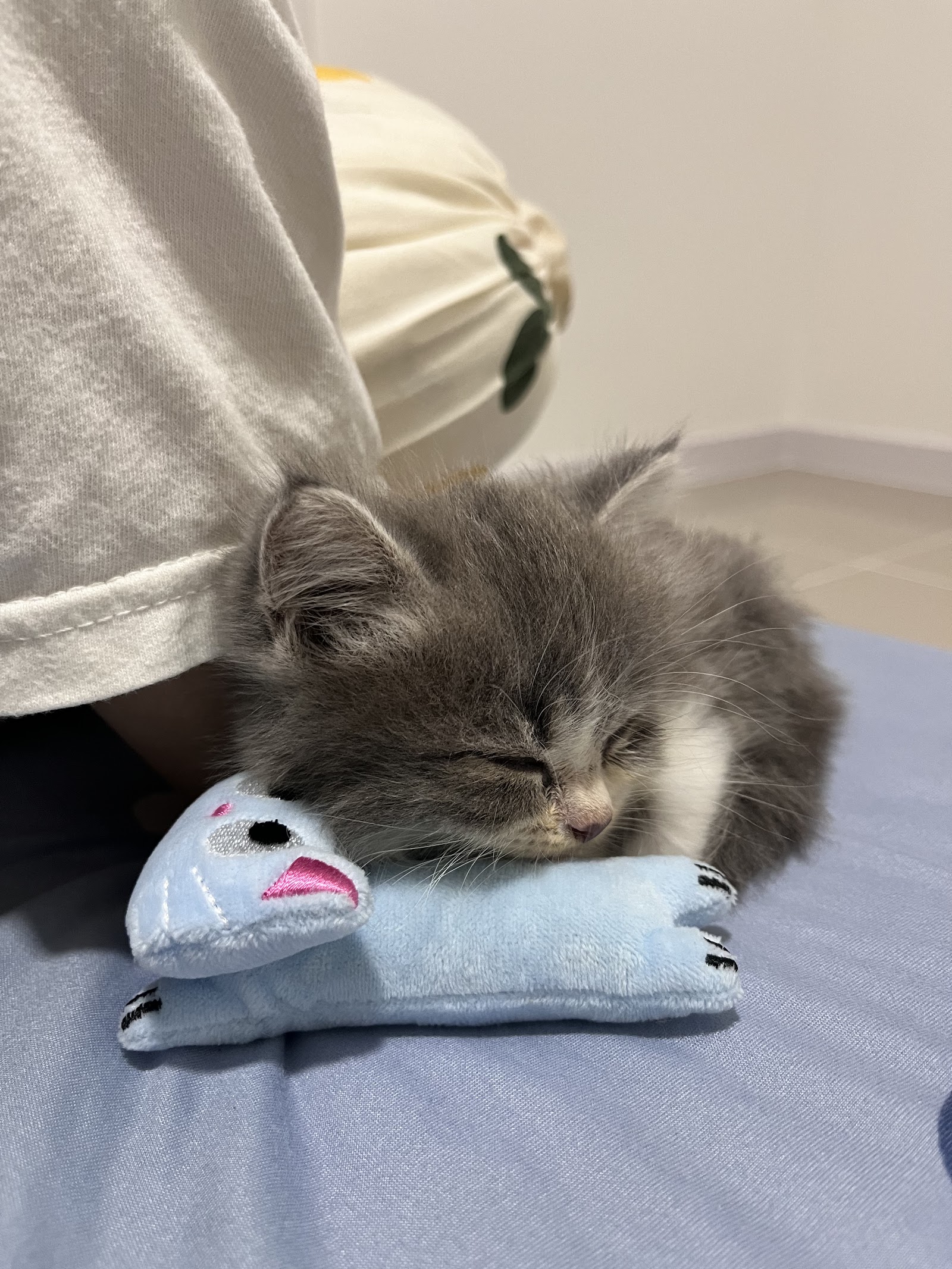 Udomsup Animal Treatment