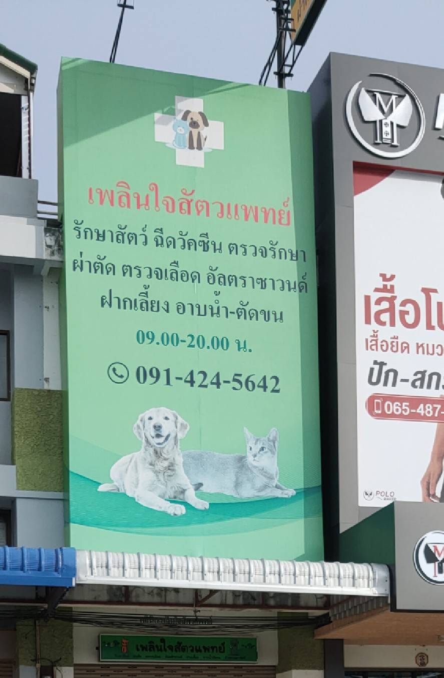 Veterinarian Pleasure