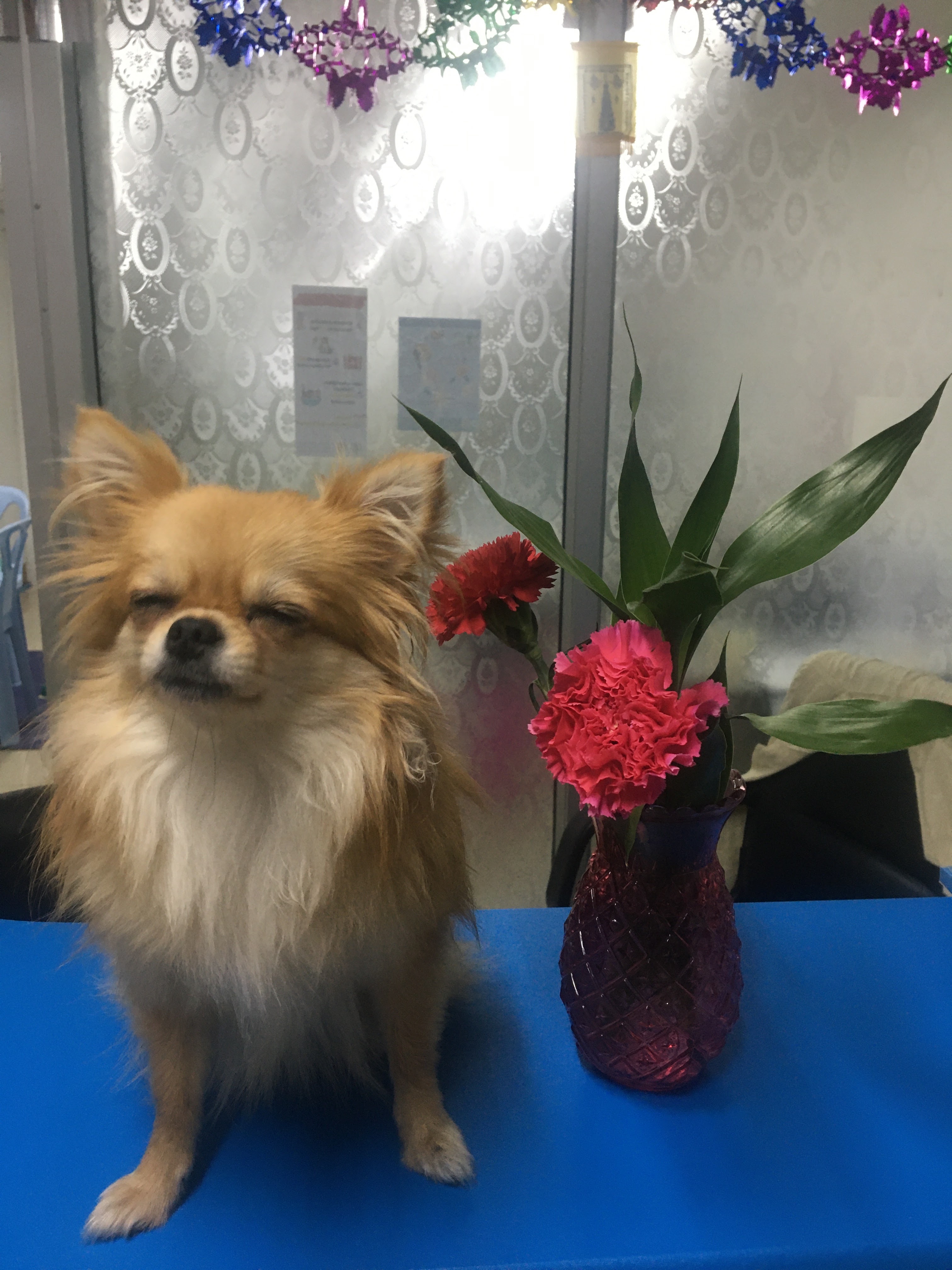 Sinsomboon Veterinary Clinic