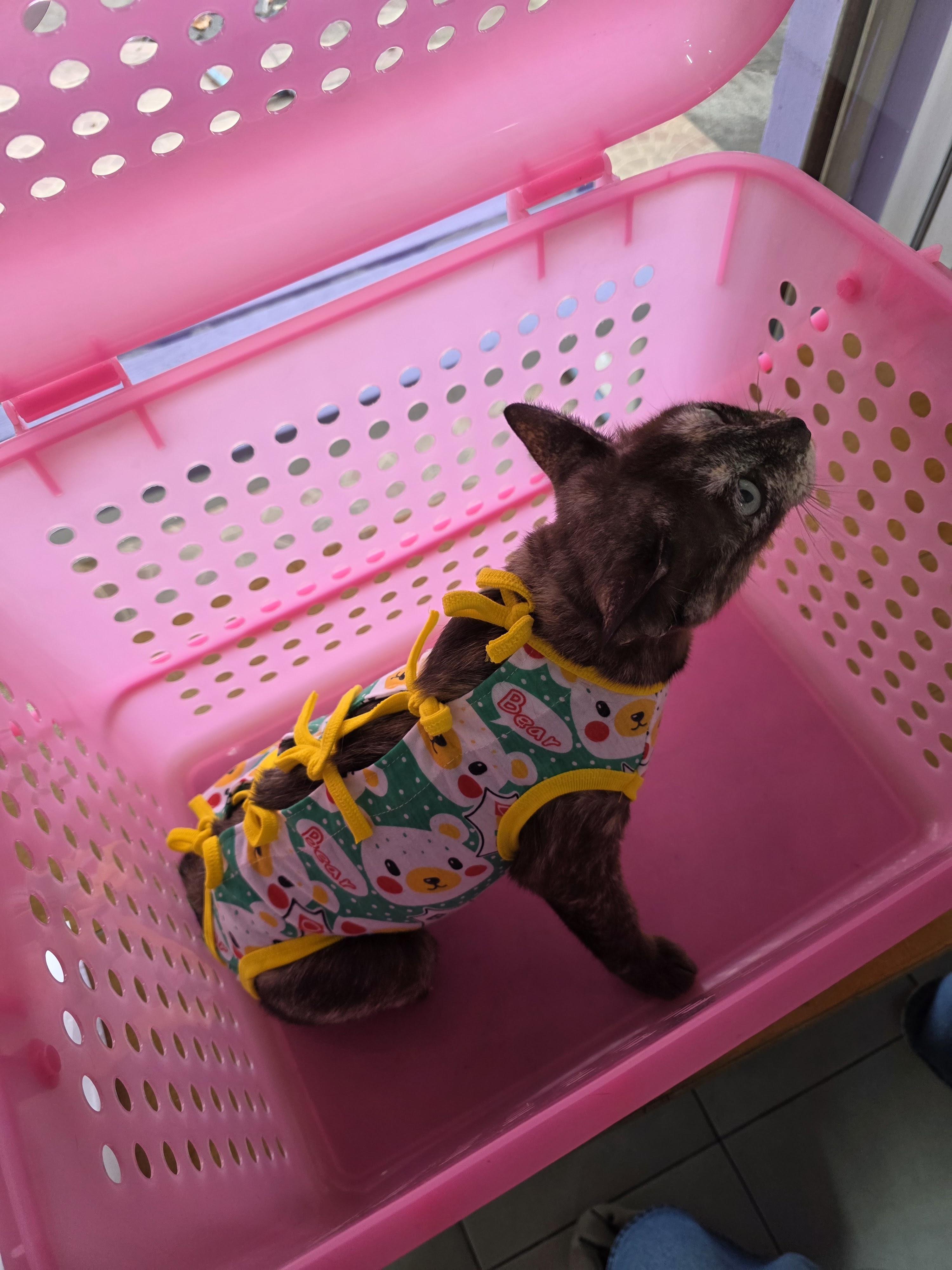 Pet Home Clinic