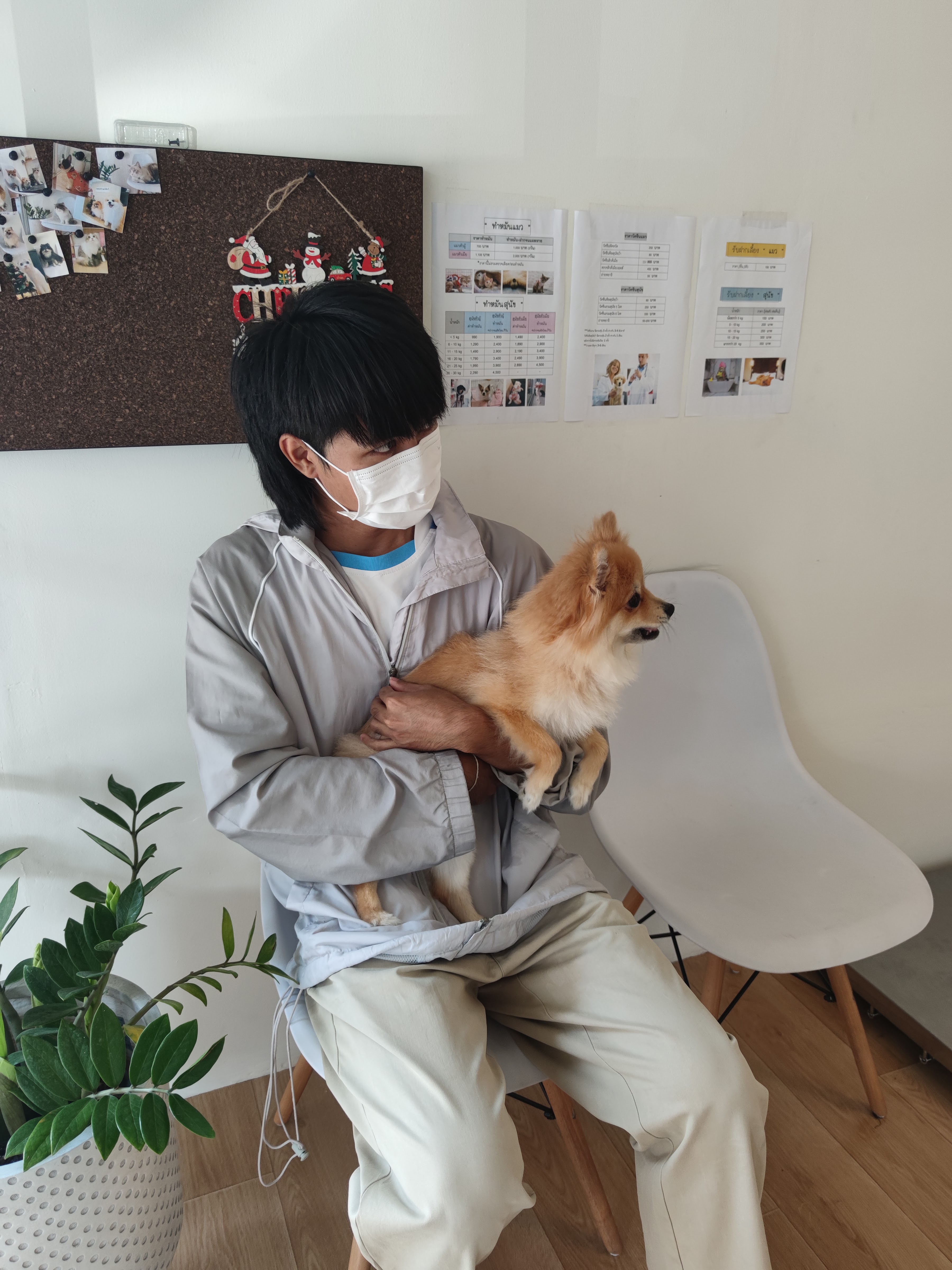 Animal Treatment Bang