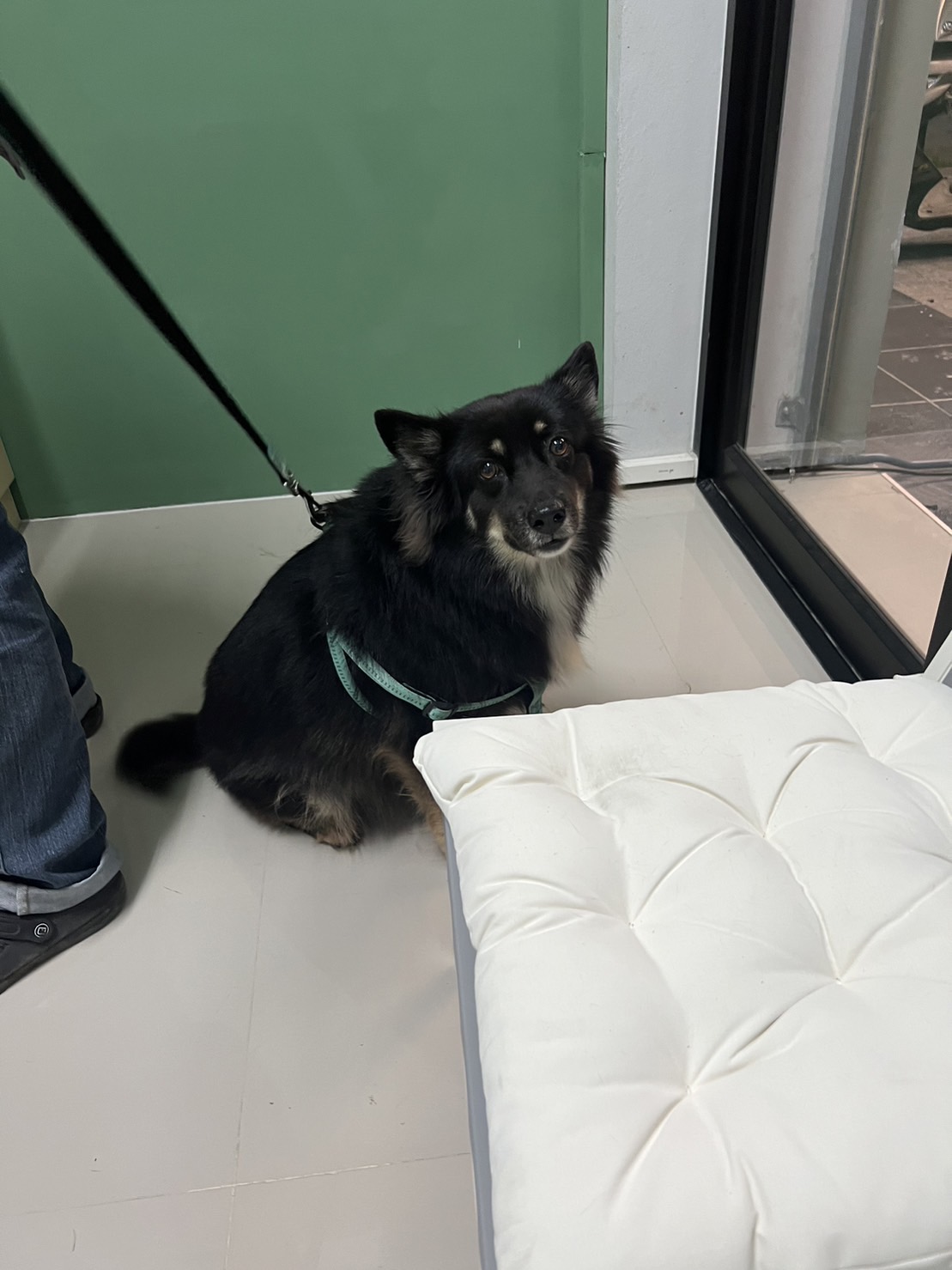 Pet Variety Animal Hospital