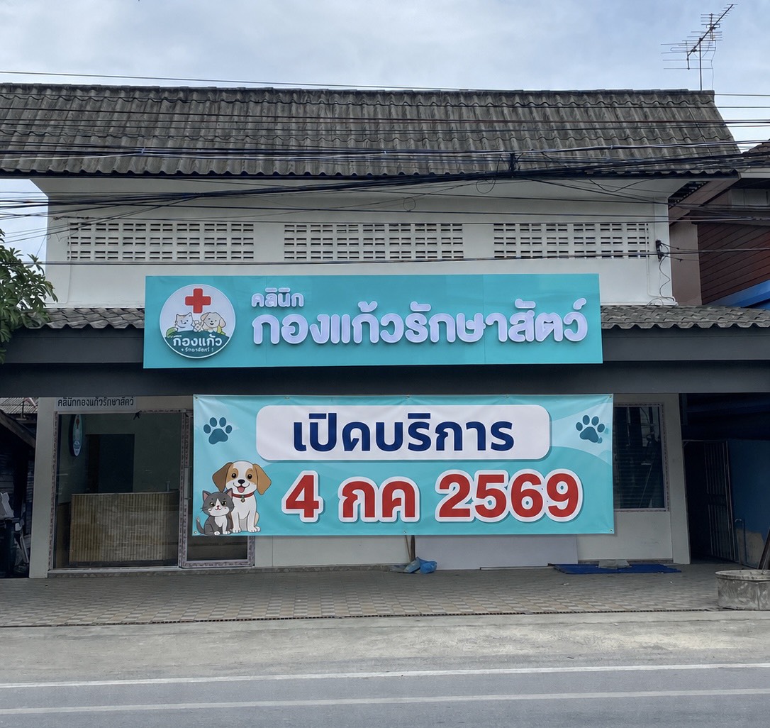 Animal Clinic